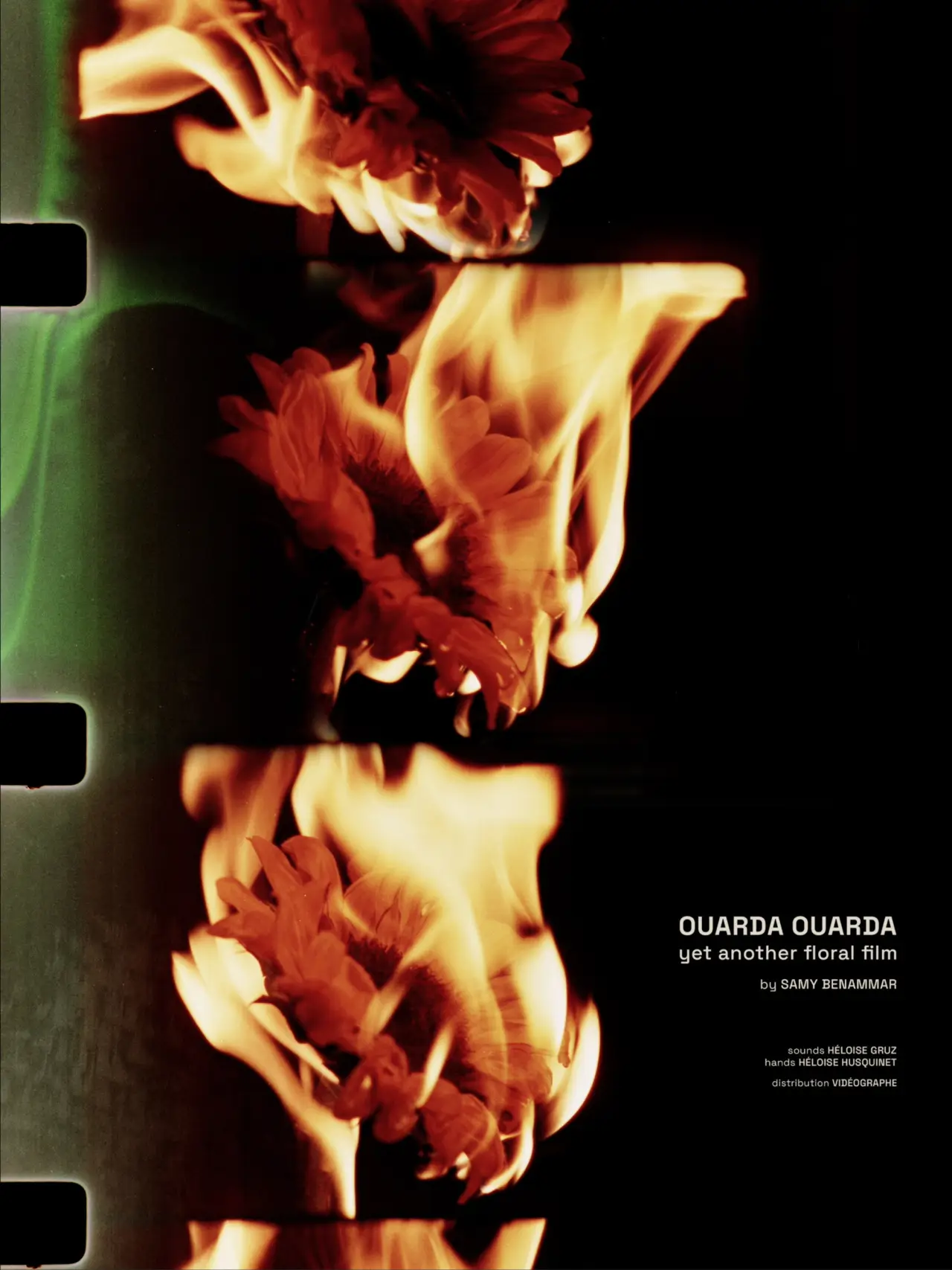 Постер до фільму "Ouarda Ouarda: yet another floral film"