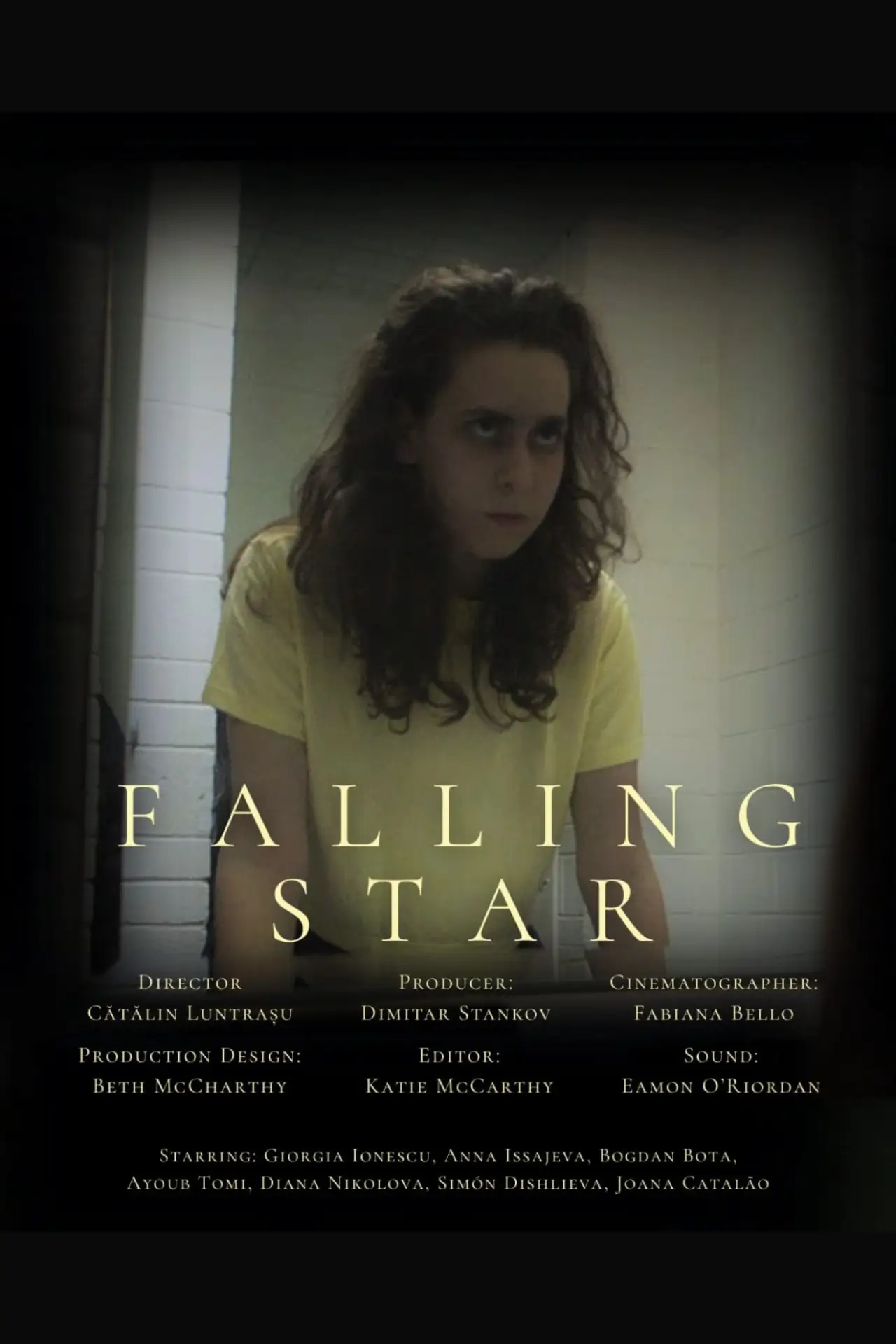 Постер до фільму "Falling Star"