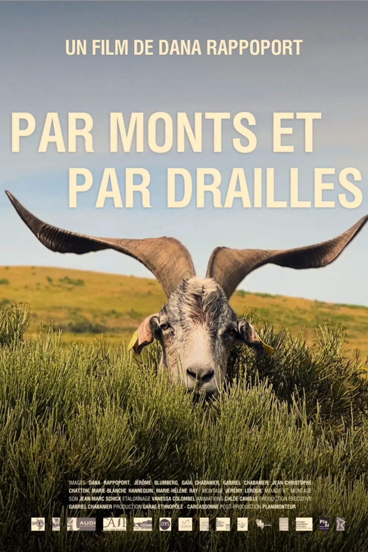 Постер до фільму "Par monts et par drailles"