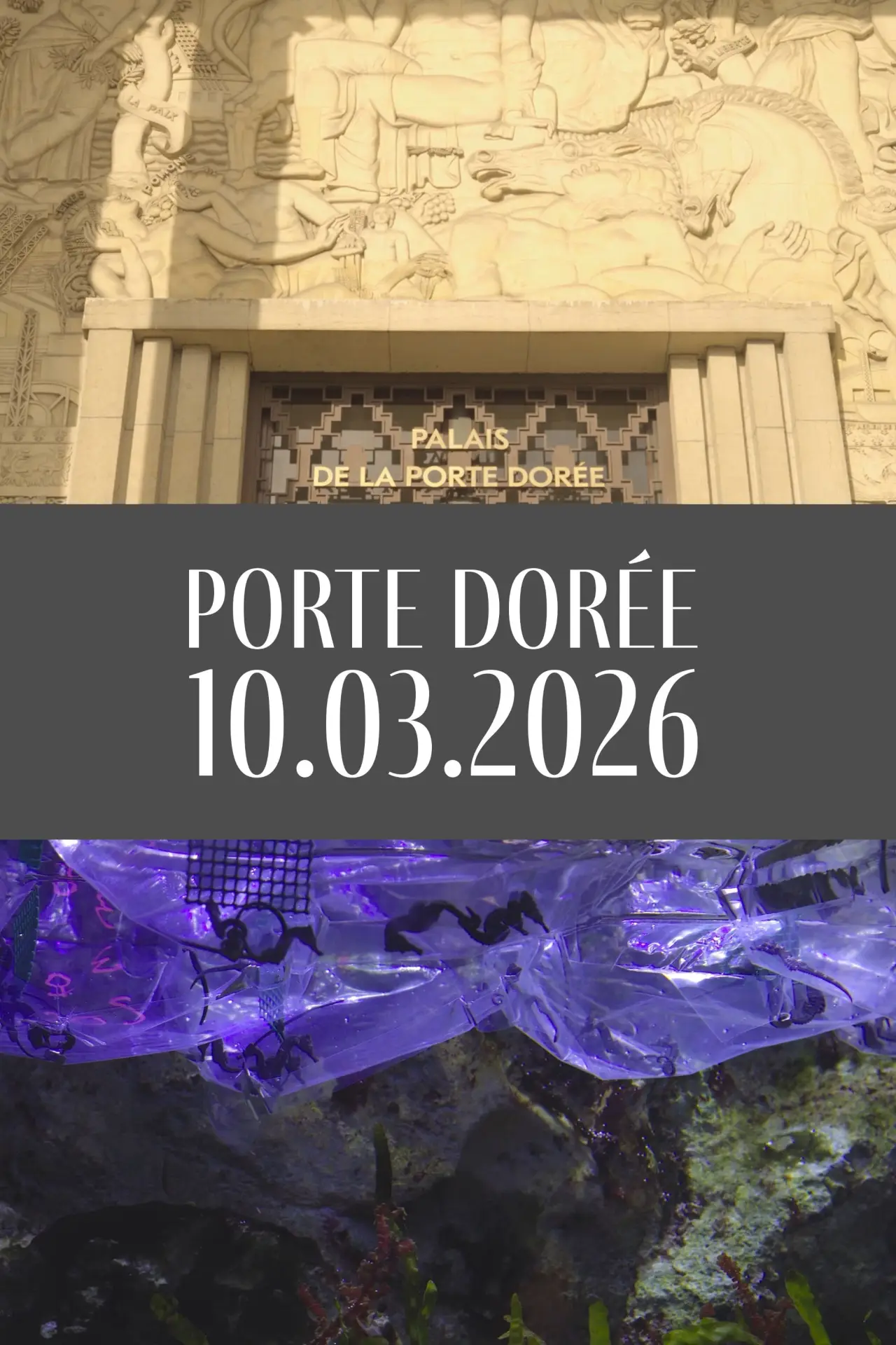 Постер до фільму "Porte Dorée 10.03.2026"