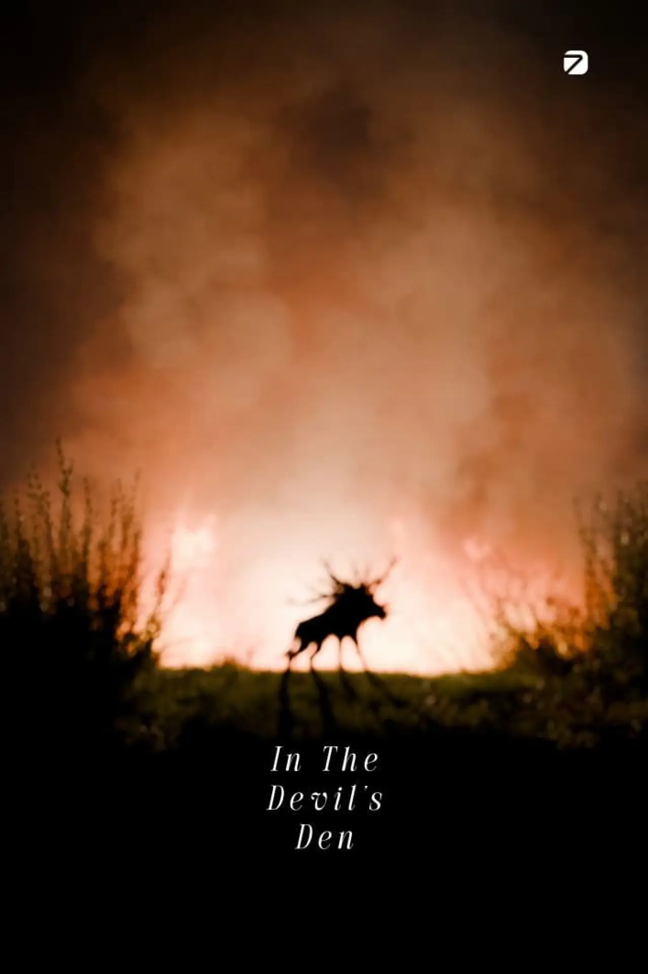 Постер до фільму "In The Devil