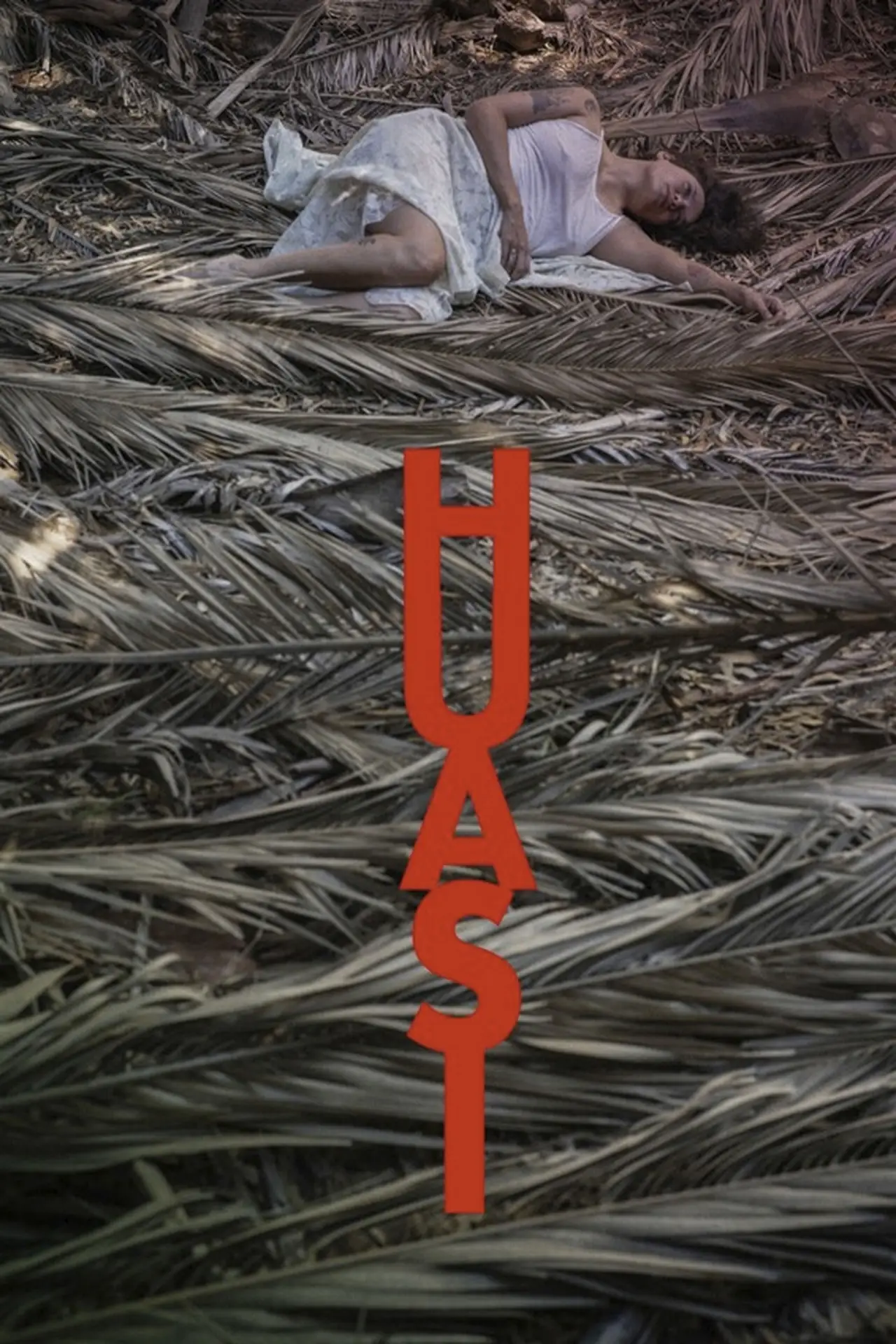 Постер до фільму "Huasi"