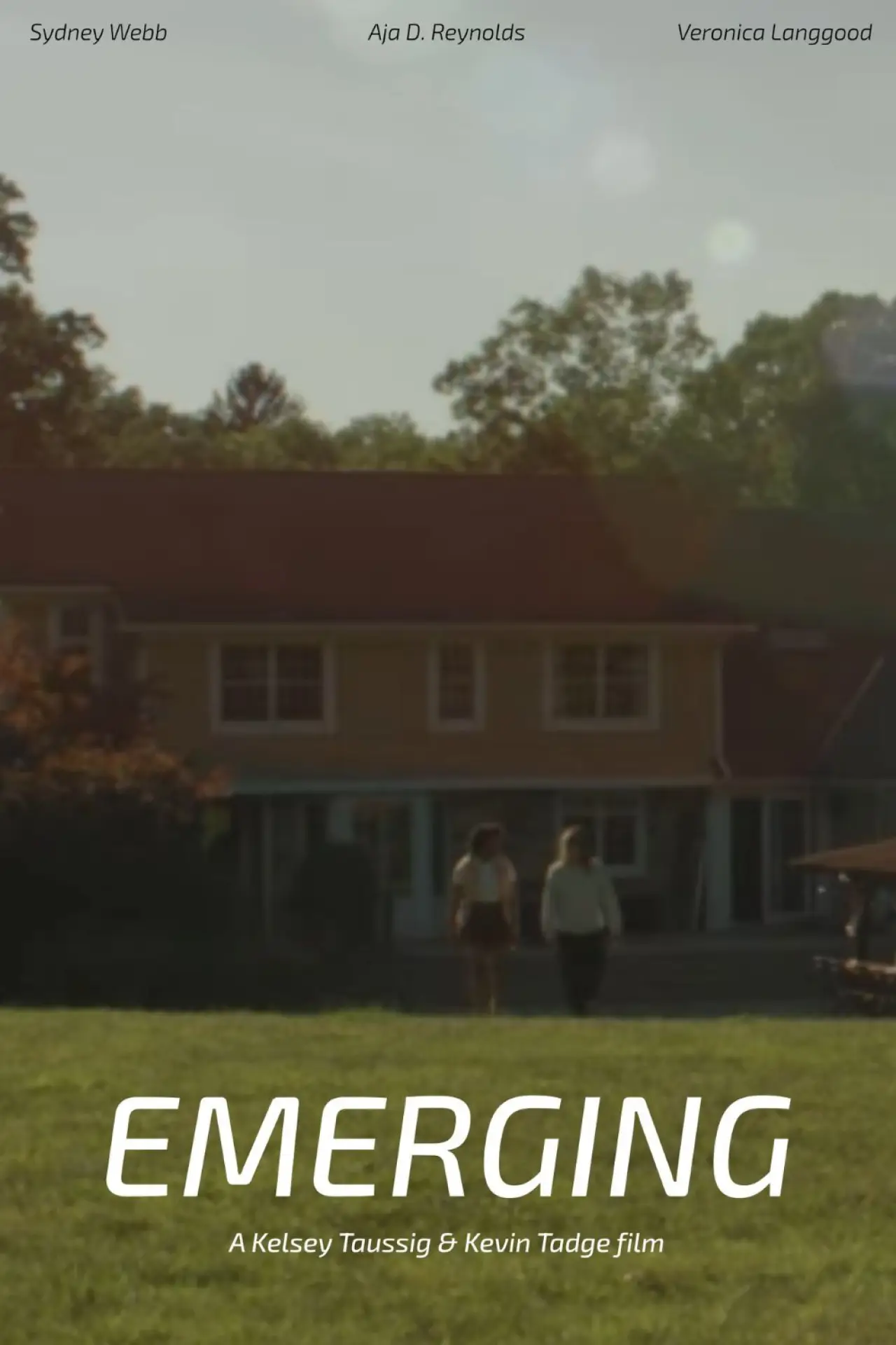 Постер до фільму "Emerging"