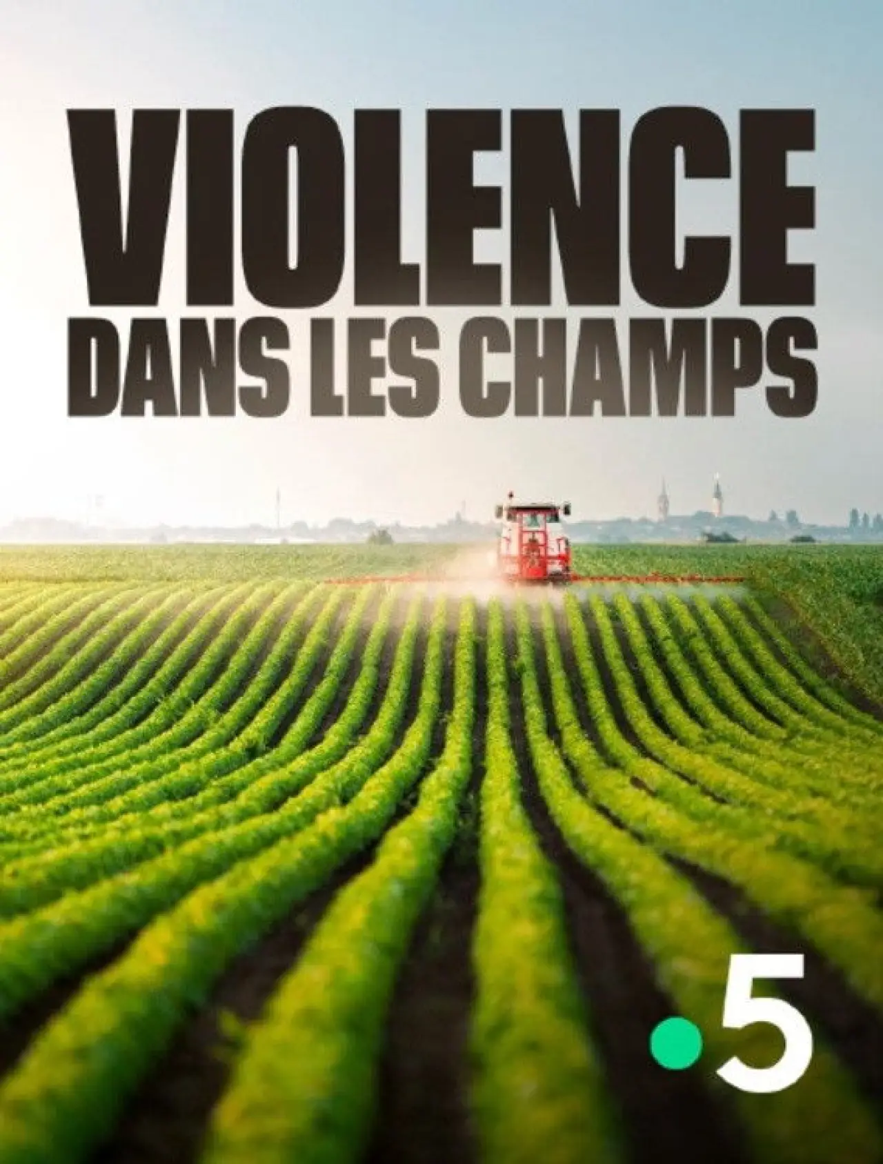 Постер до фільму "Violence dans les Champs"