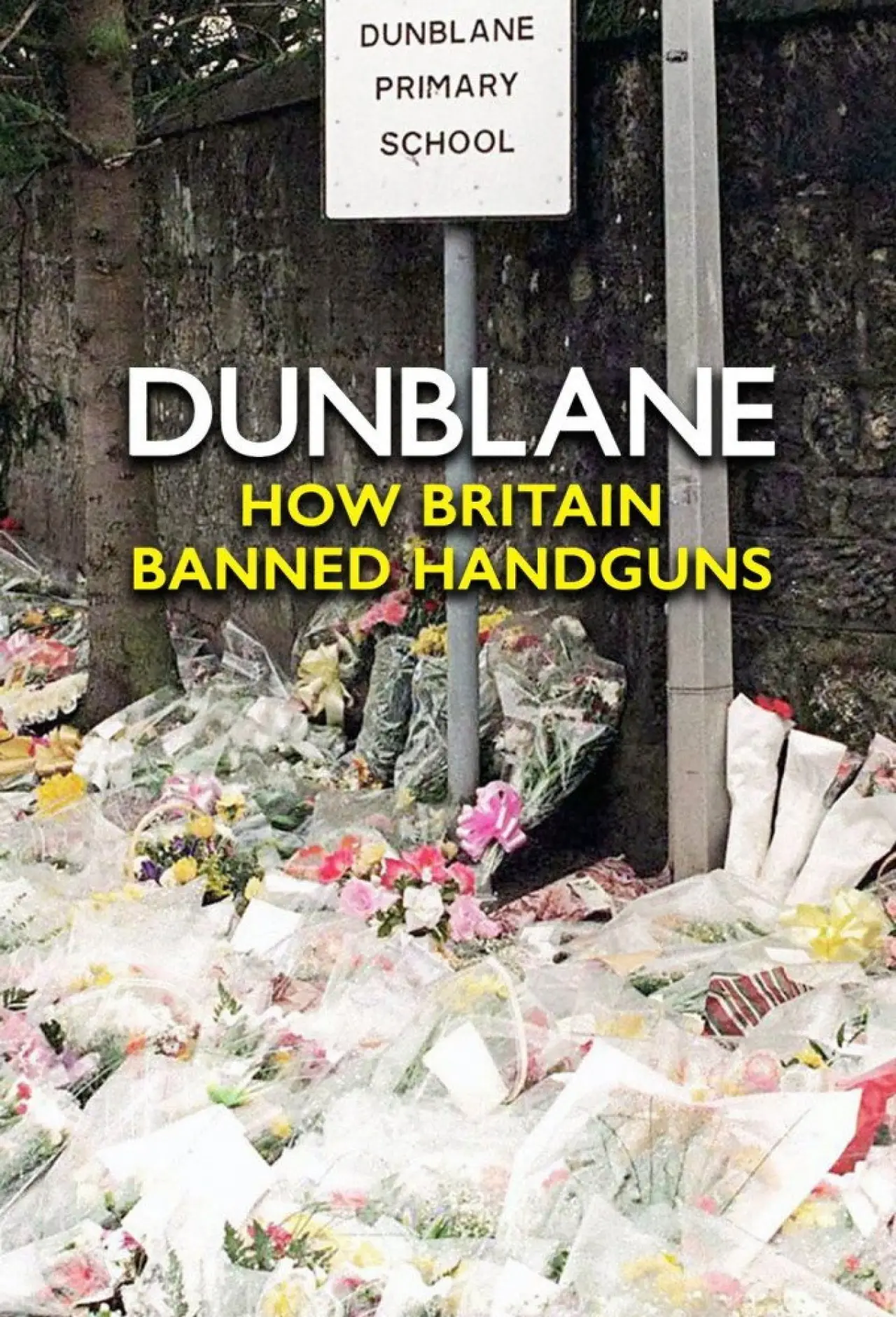 Постер до фільму "Dunblane: How Britain Banned Handguns"