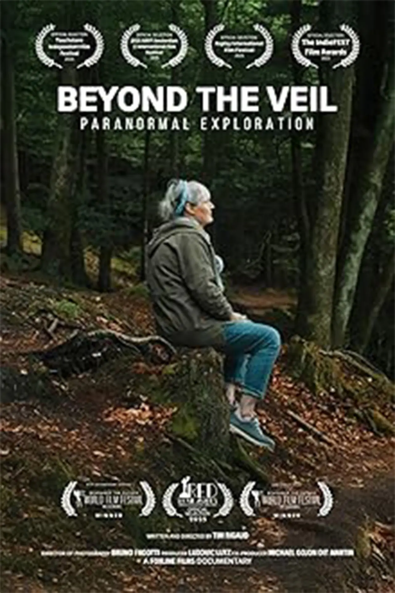 Постер до фільму "Au-Delà du Voile - Exploration du Paranormal"