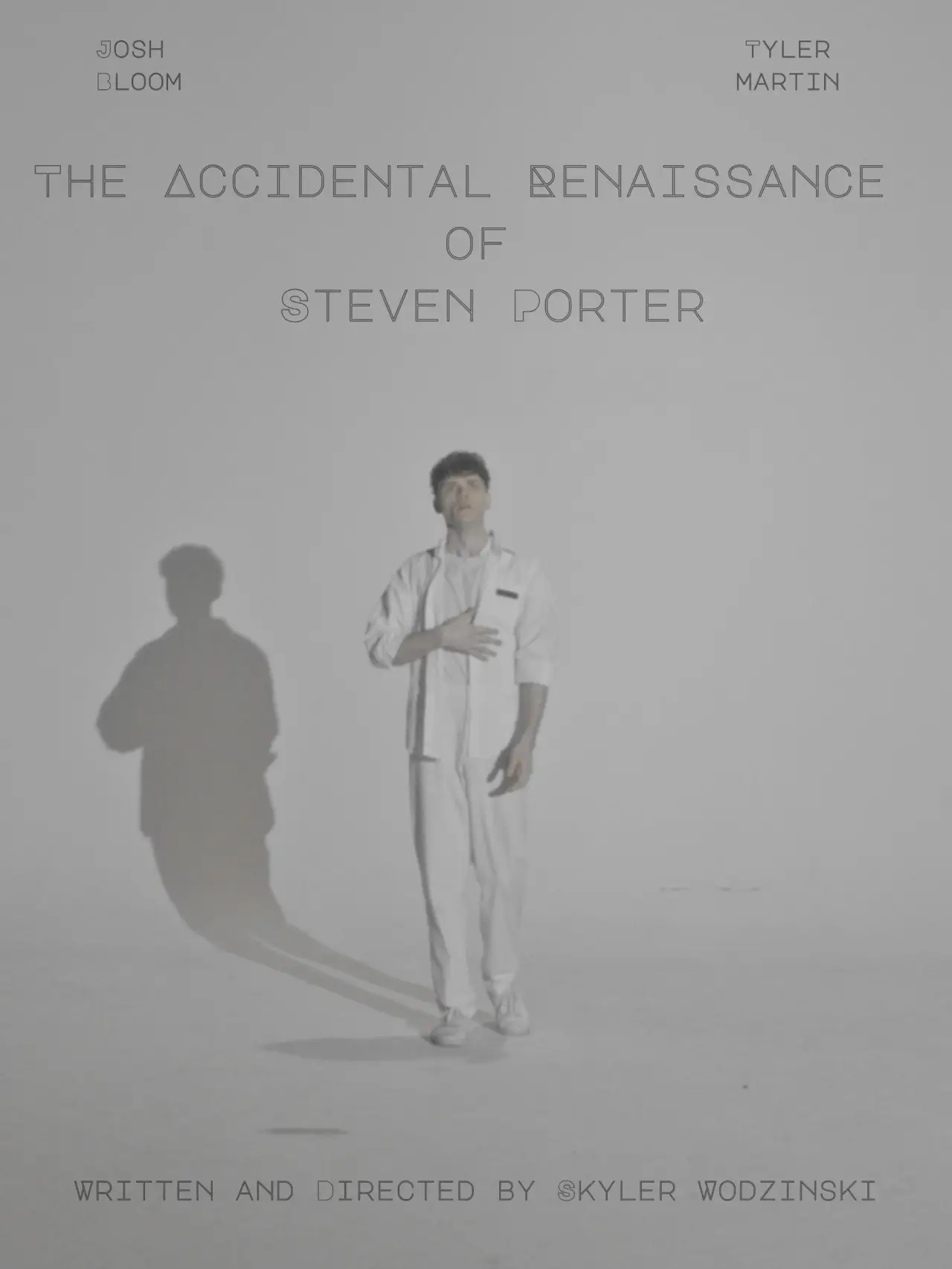 Постер до фільму "The Accidental Renaissance of Steven Porter"