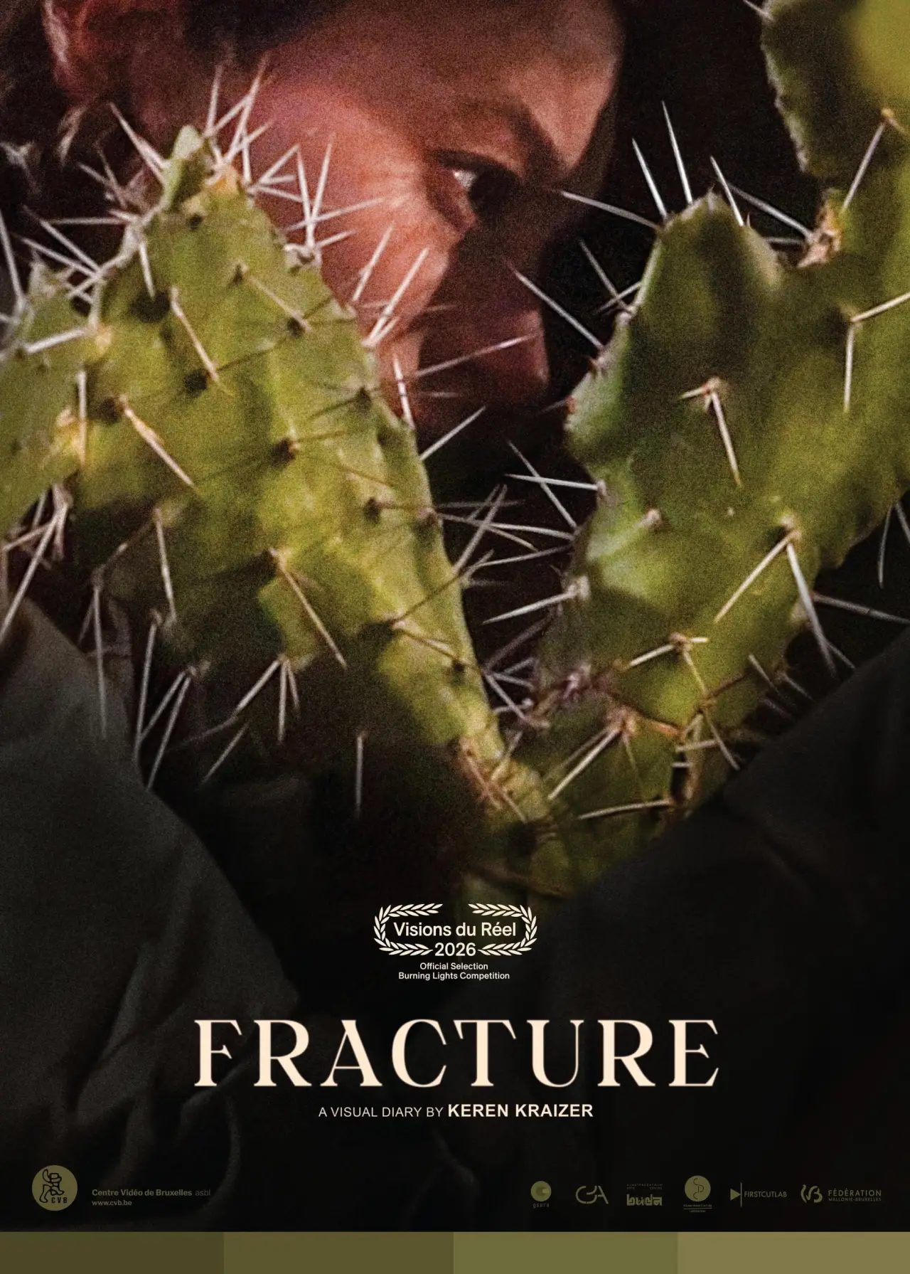 Постер до фільму "Fracture"