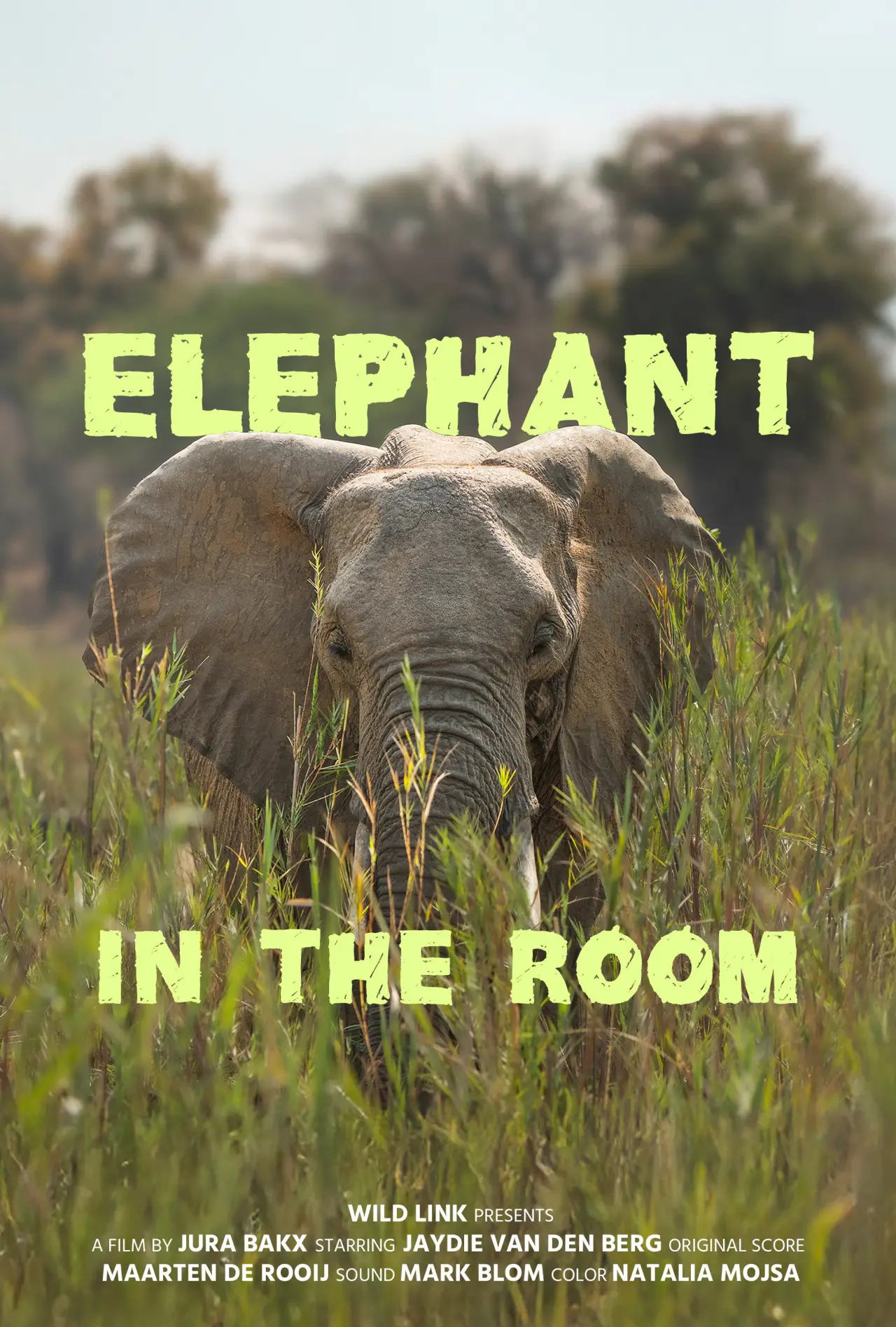 Постер до фільму "Elephant in the Room"