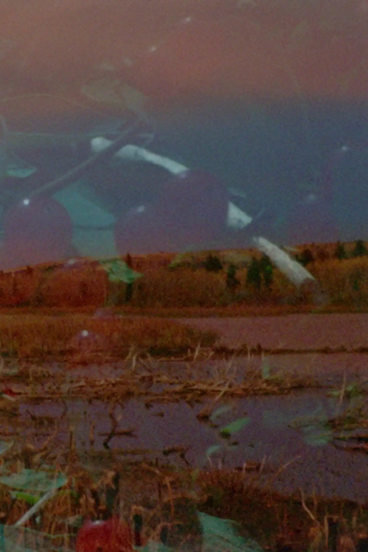 Постер до фільму "Mounds Above the Earth"