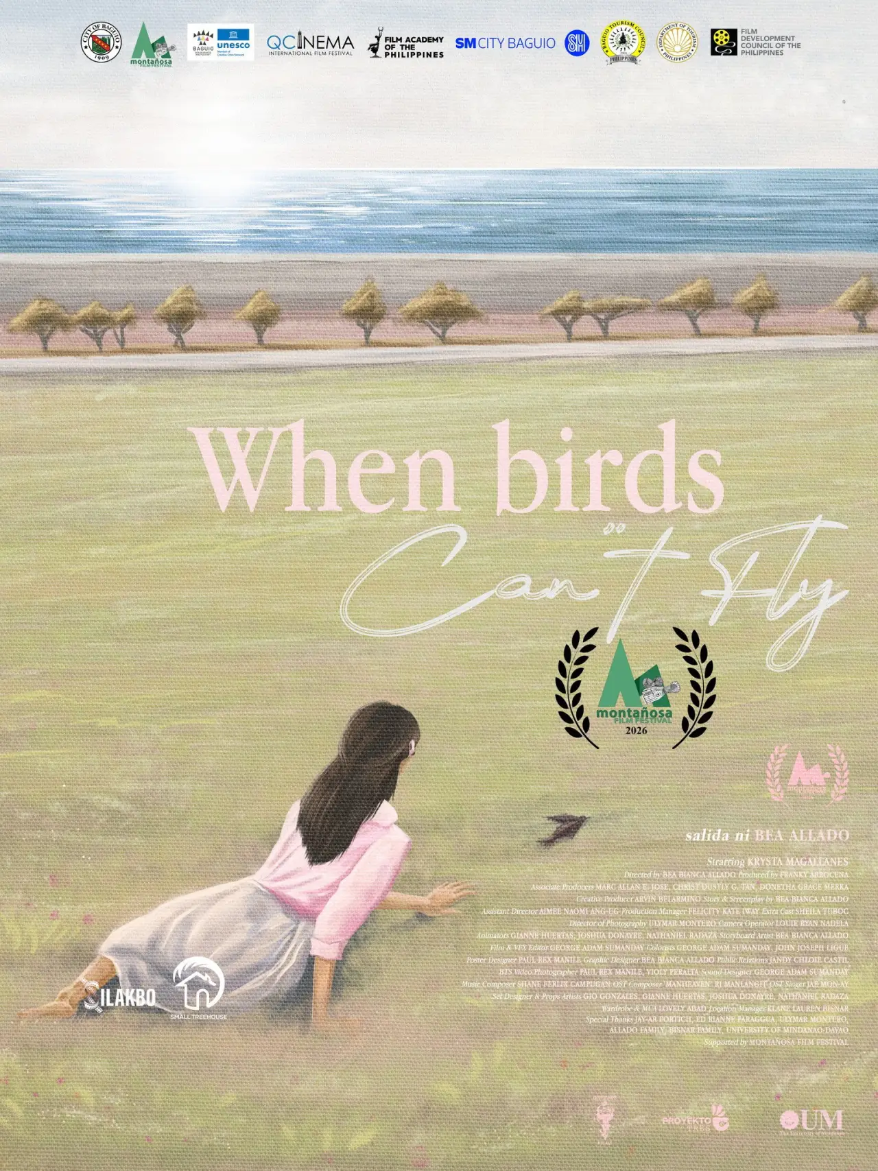 Постер до фільму "When Birds Can