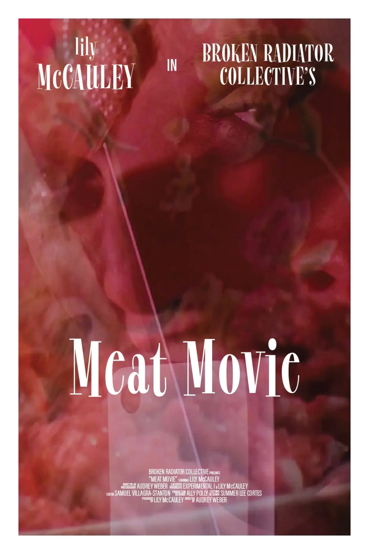 Постер до фільму "Meat Movie"