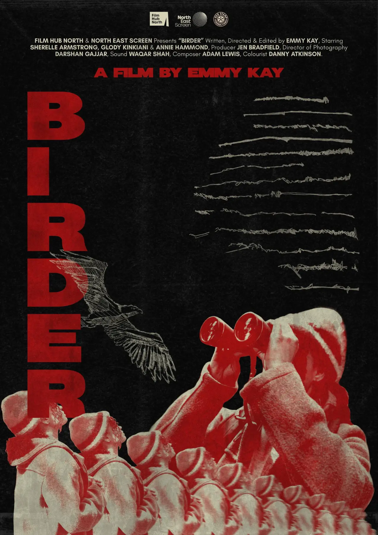Постер до фільму "Birder"