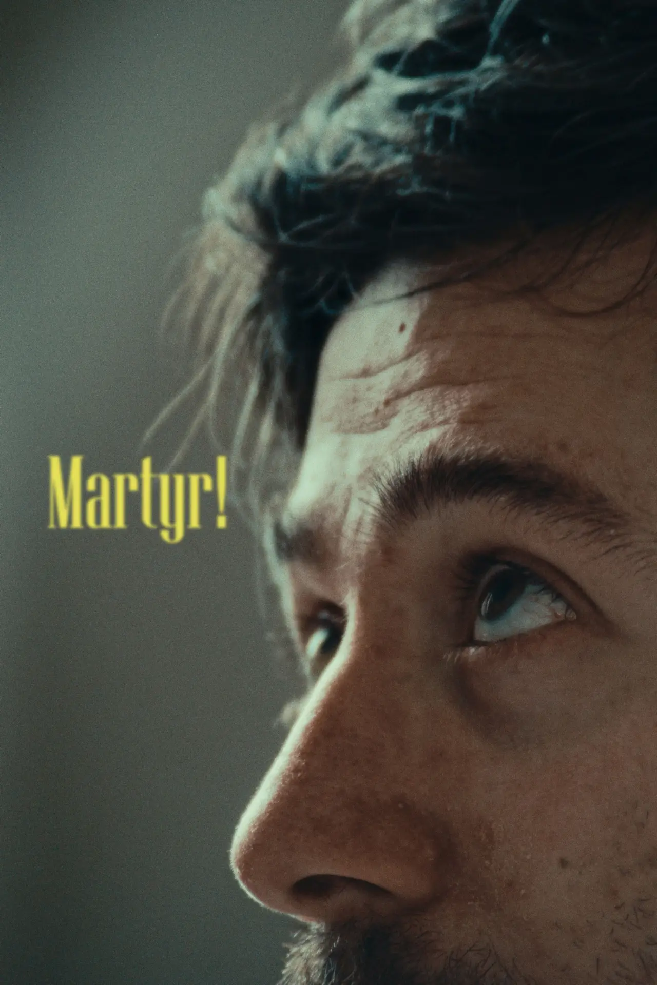 Постер до фільму "Martyr!"