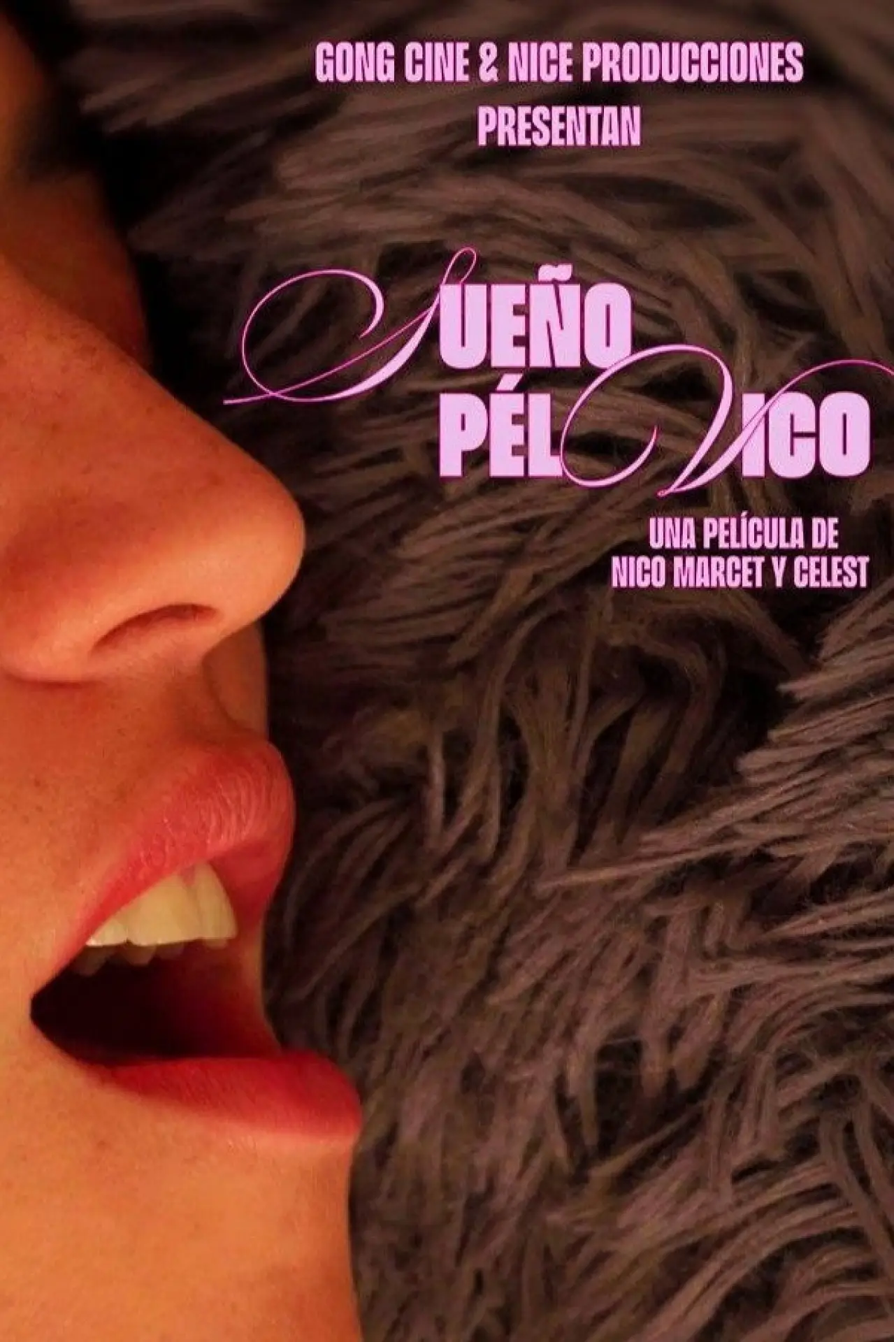 Постер до фільму "Sueño pélvico"