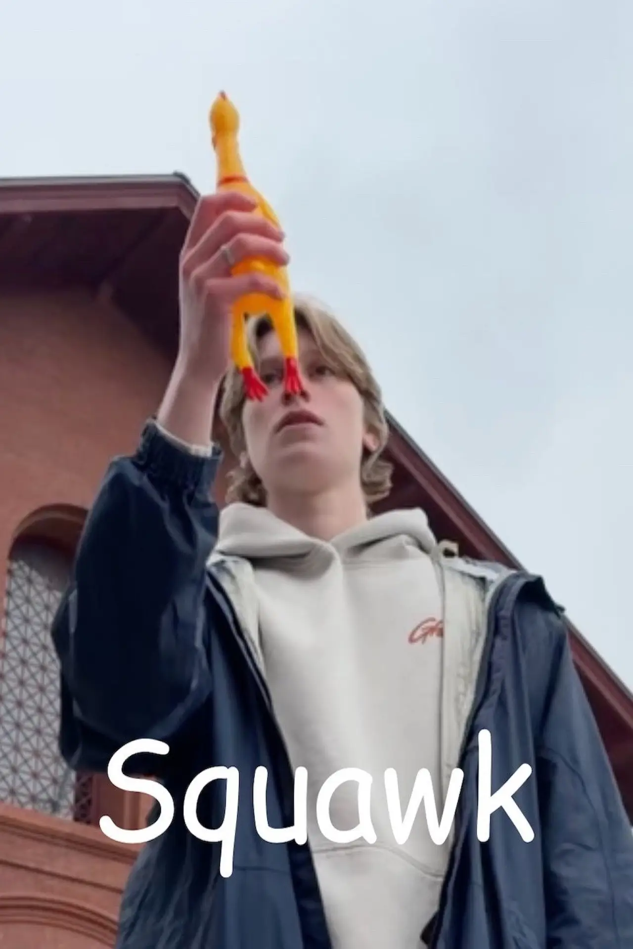 Постер до фільму "Squawk"