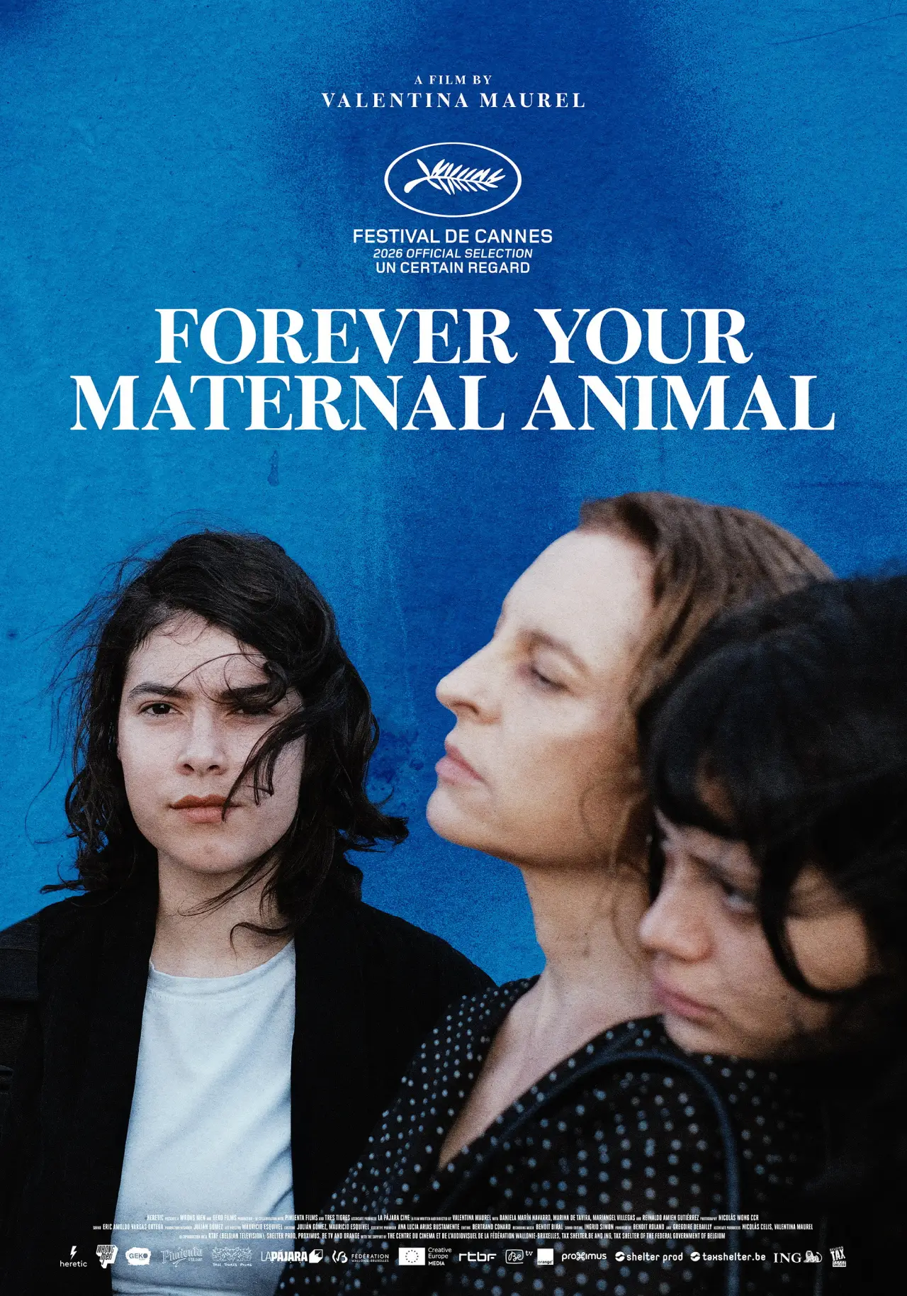 Постер до фільму "Siempre soy tu animal materno"