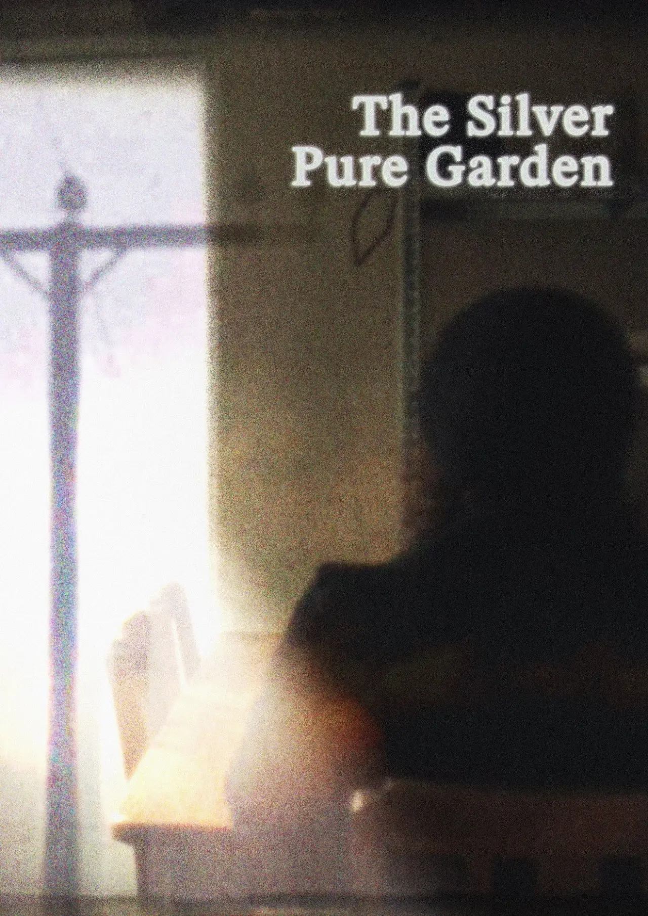 Постер до фільму "The Silver Pure Garden"