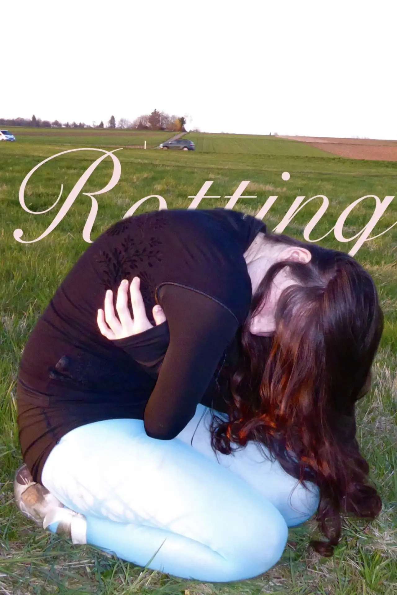 Постер до фільму "Rotting"