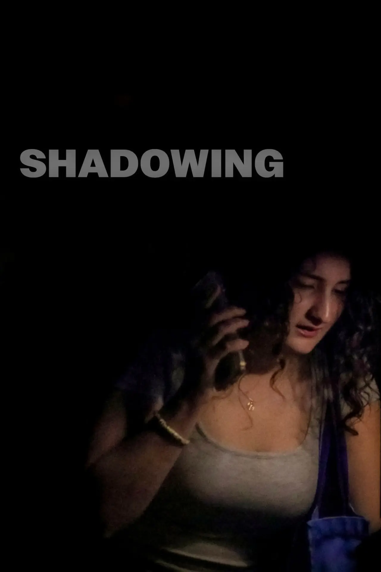 Постер до фільму "Shadowing"