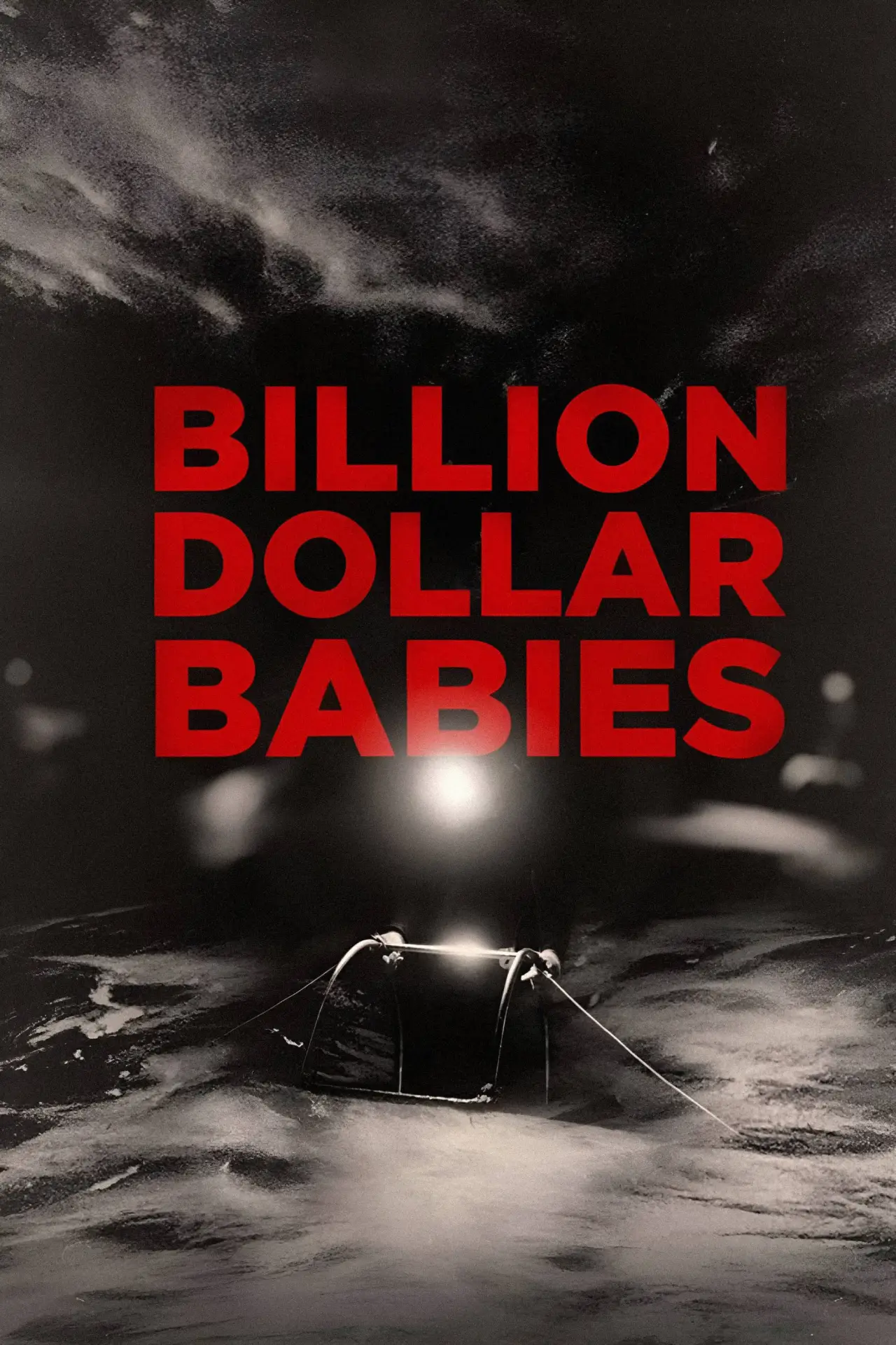 Постер до фільму "Milliarden Dollar Babies: Große Gewinne mit kleinen Aalen"