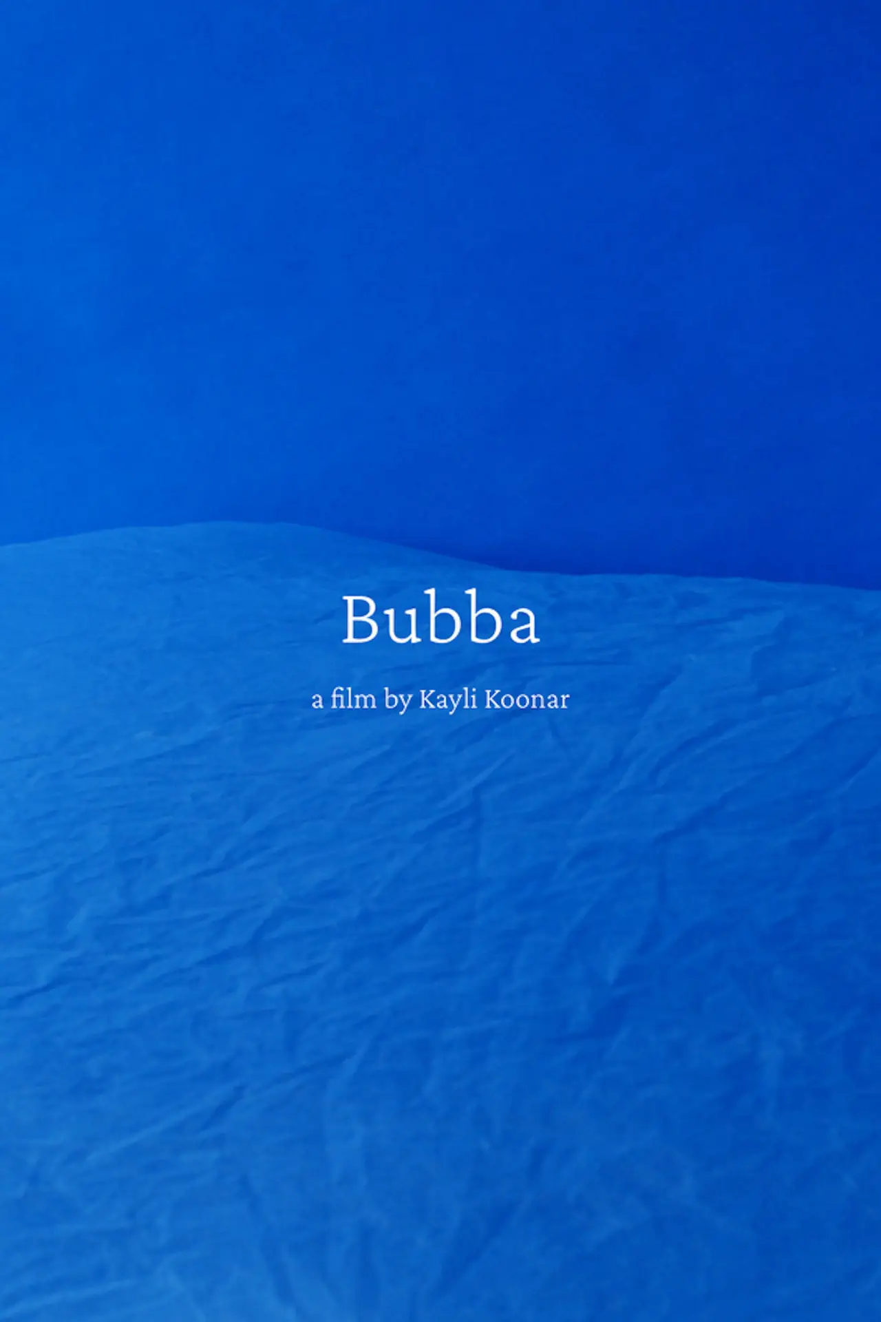 Постер до фільму "Bubba"