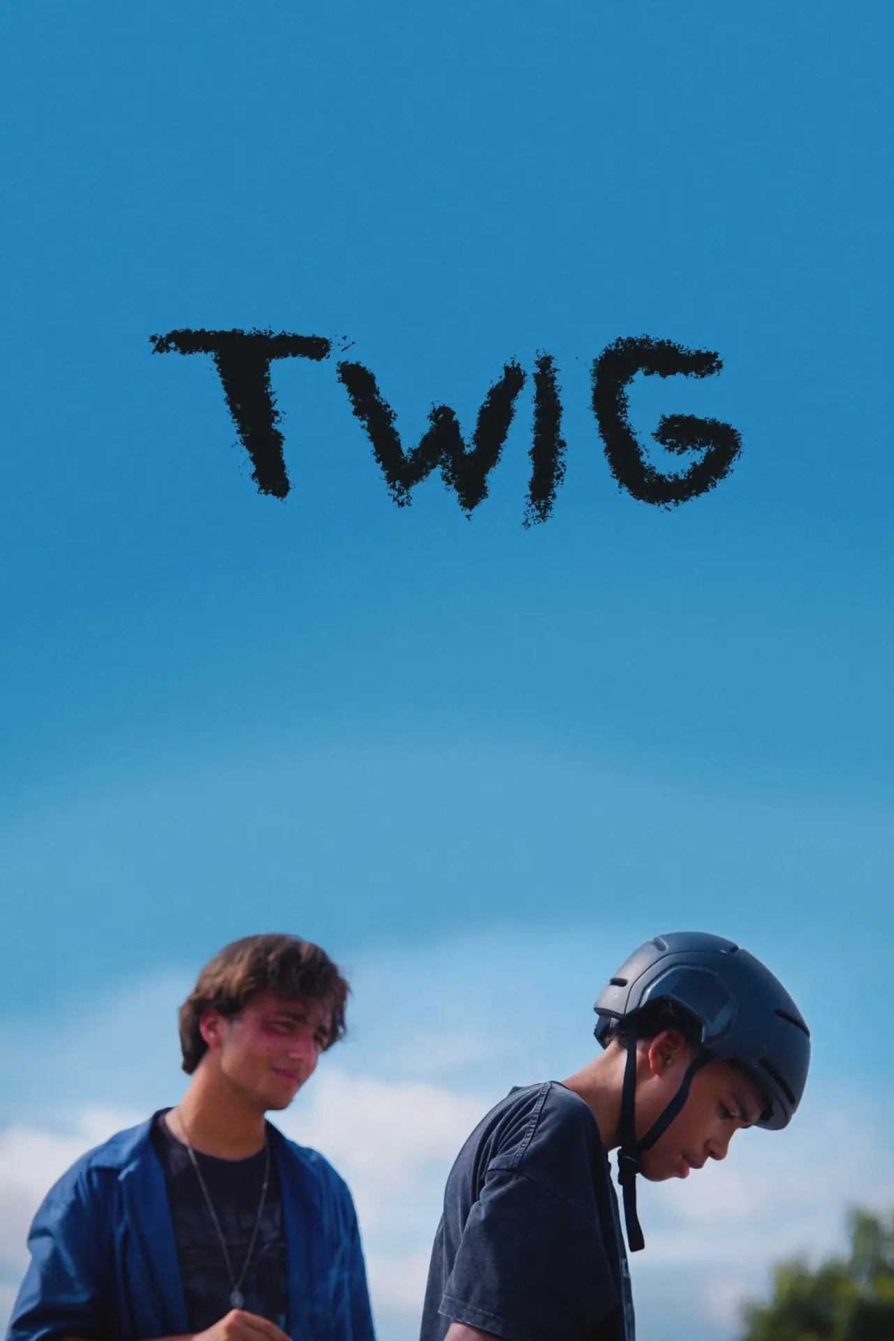 Постер до фільму "Twig"