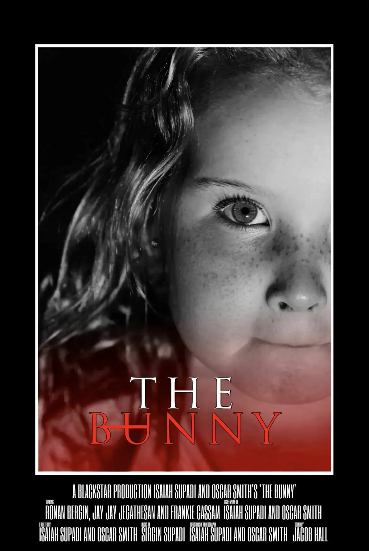 Постер до фільму "The Bunny"