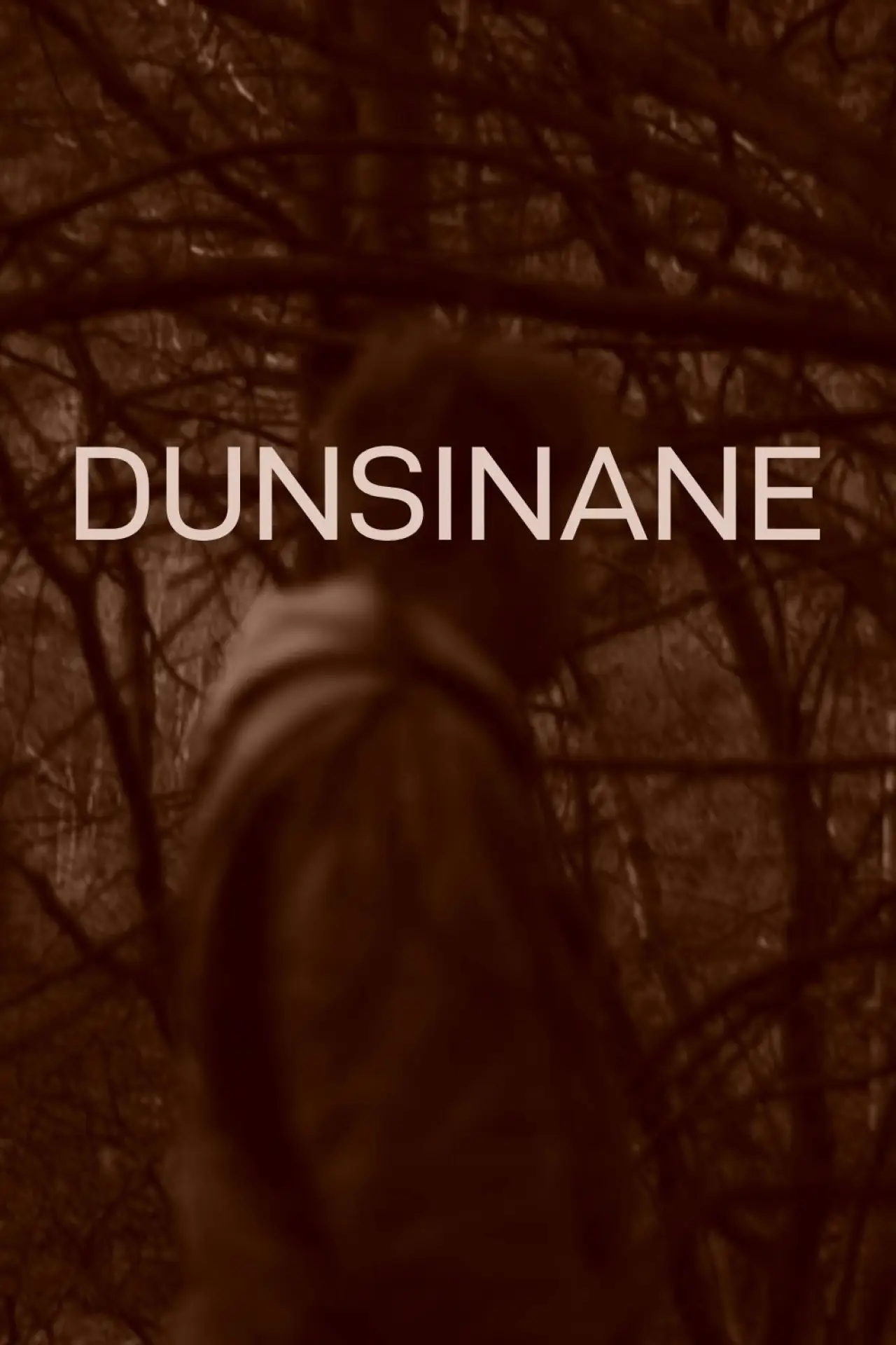 Постер до фільму "Dunsinane"
