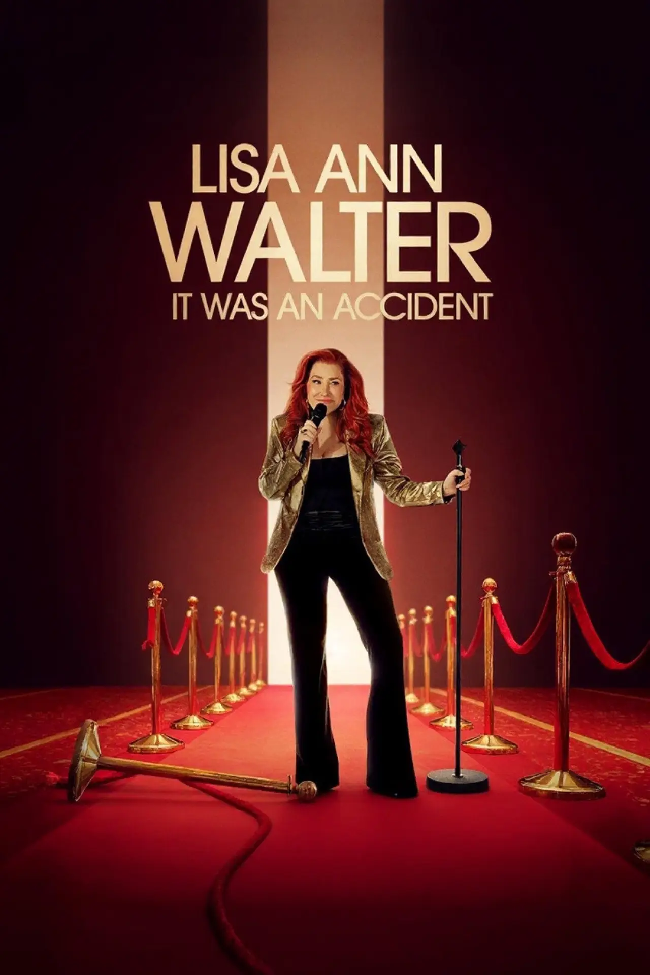 Постер до фільму "Lisa Ann Walter: It Was an Accident"