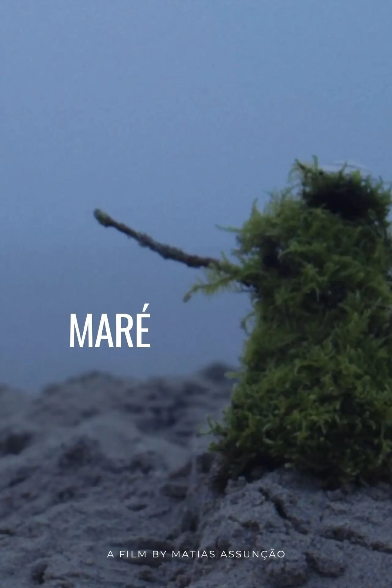 Постер до фільму "Maré"