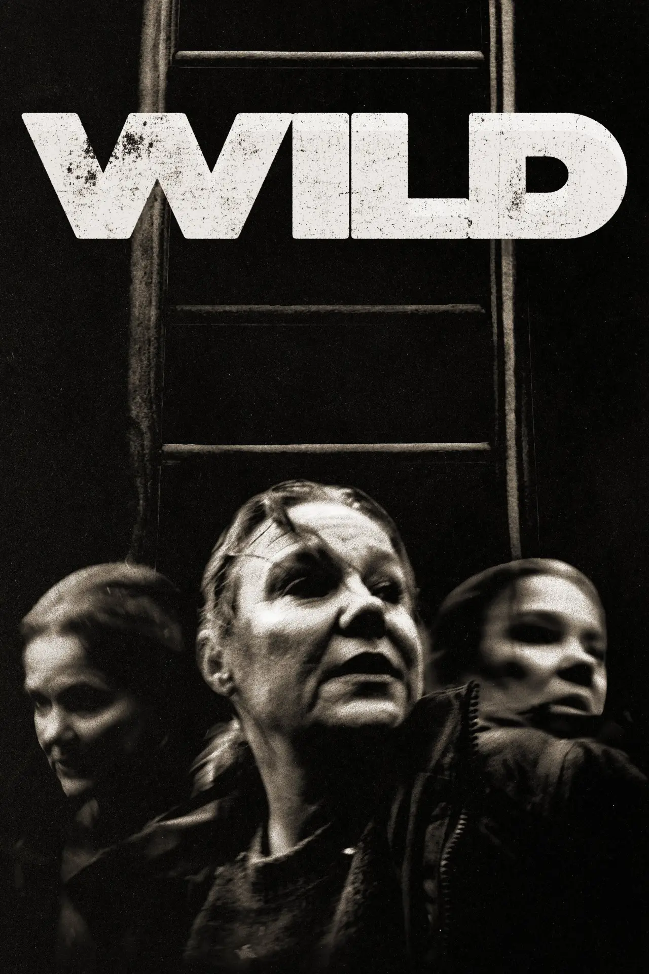 Постер до фільму "Wild"