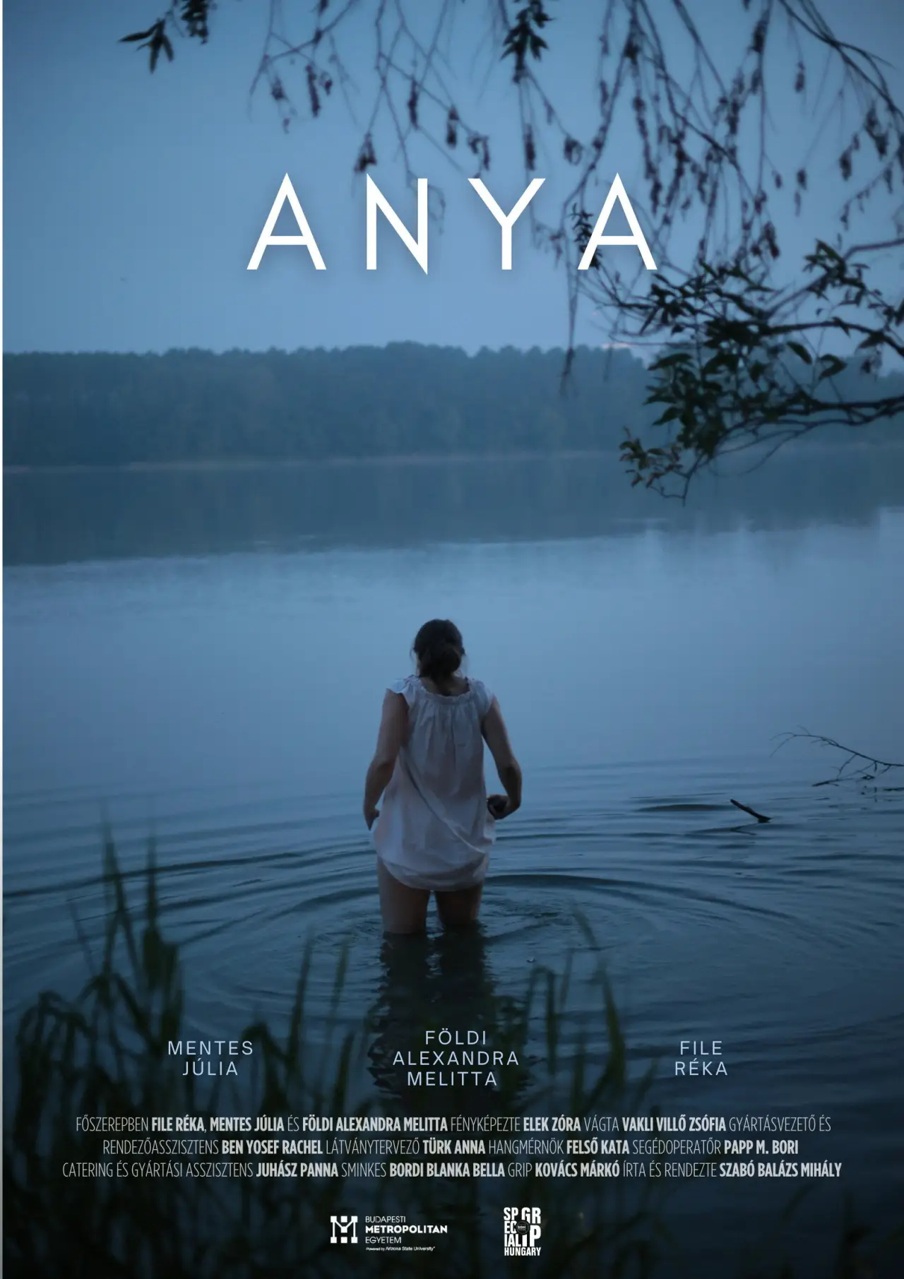 Постер до фільму "Anya"
