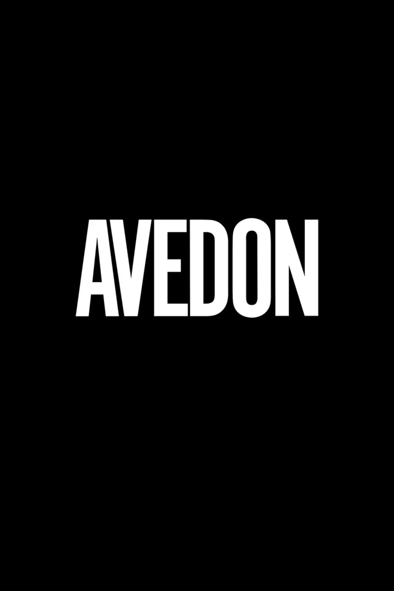 Постер до фільму "Avedon"