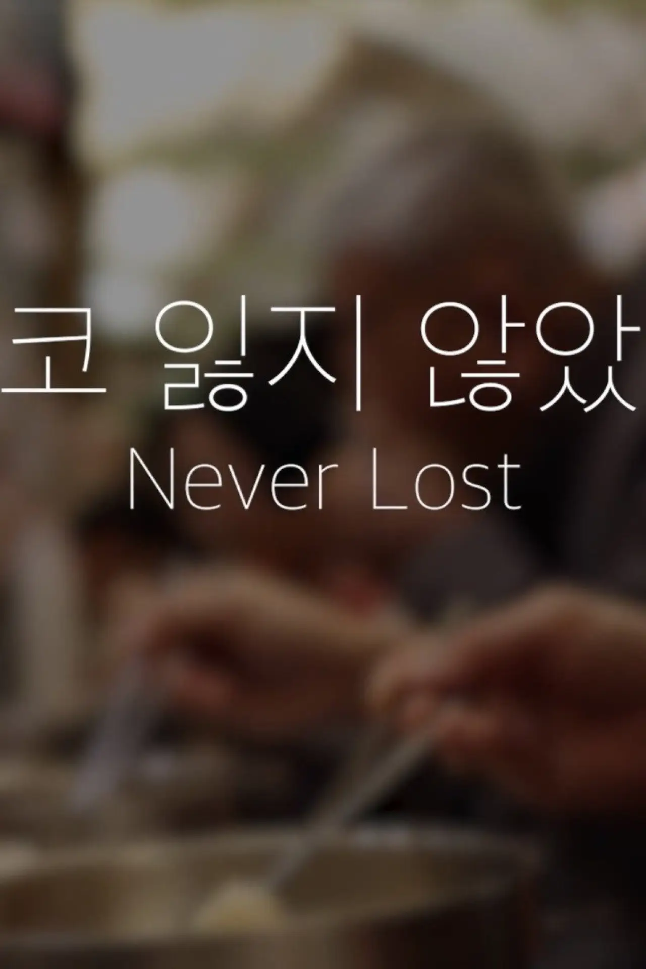 Постер до фільму "Never Lost (결코 잃지 않았다)"