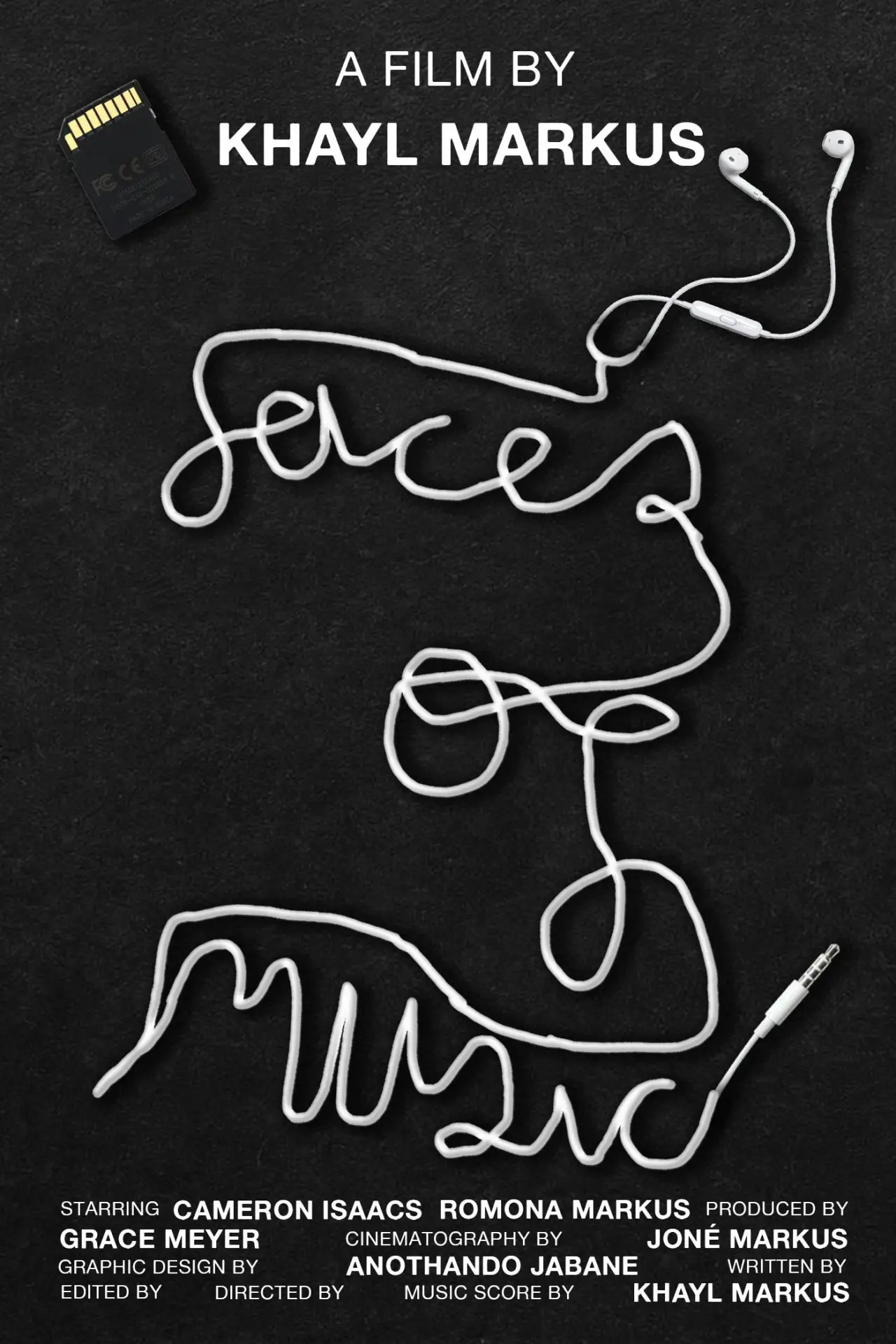Постер до фільму "Faces of Music"