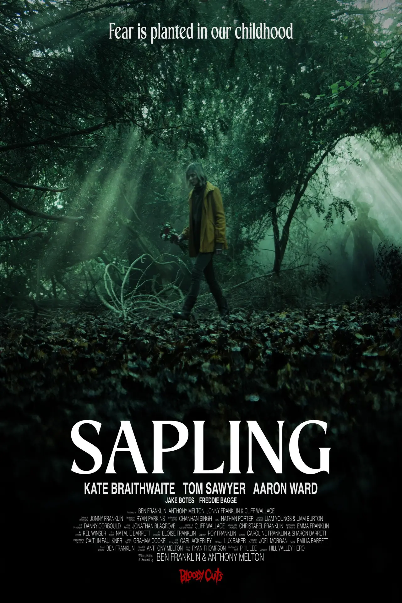 Постер до фільму "Sapling"