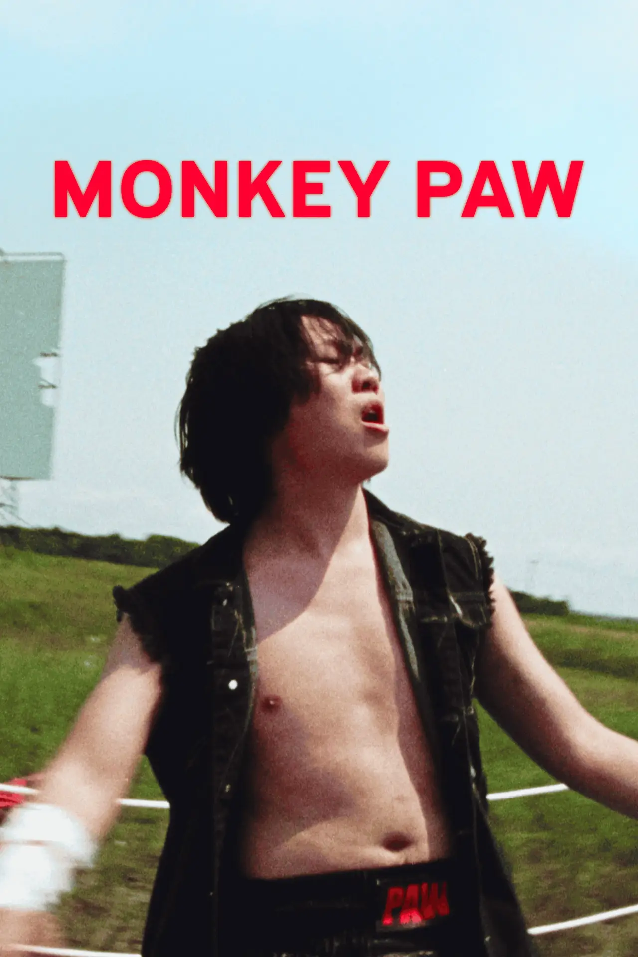 Постер до фільму "Monkey Paw"