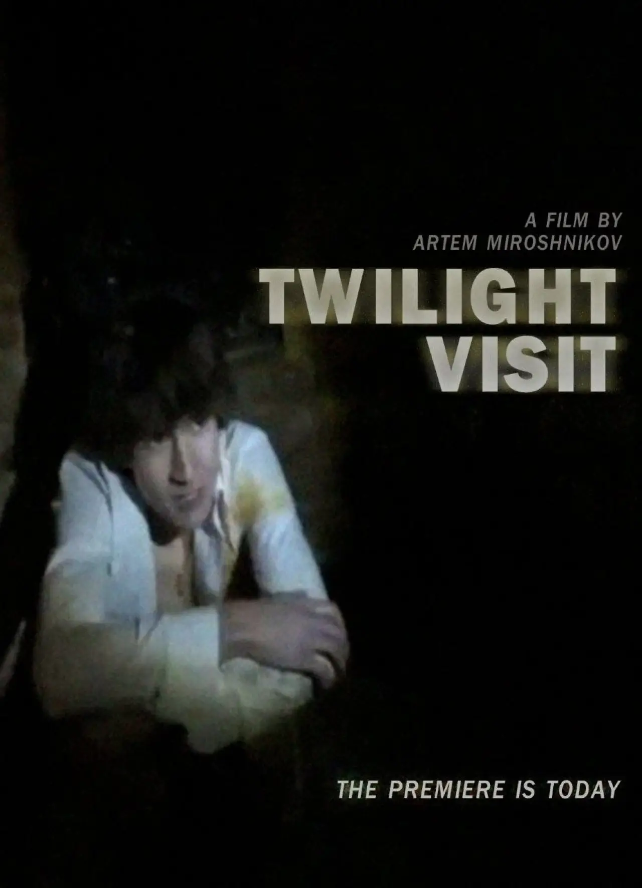 Постер до фільму "Twilight Visit"