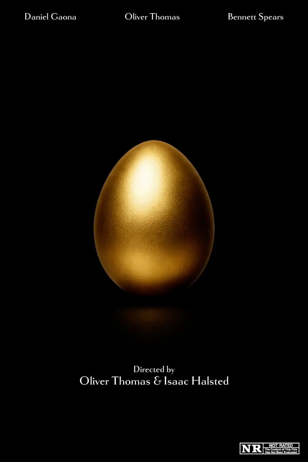 Постер до фільму "The Heir of Hildegard"