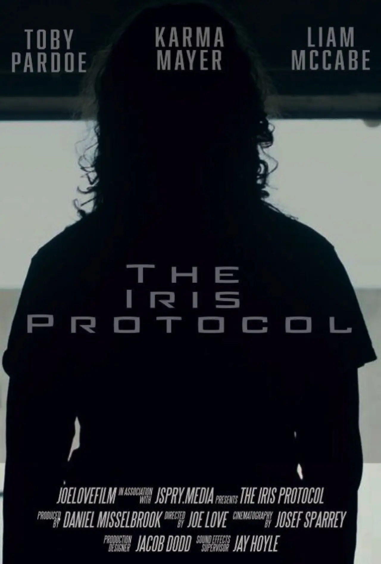 Постер до фільму "The Iris Protocol"