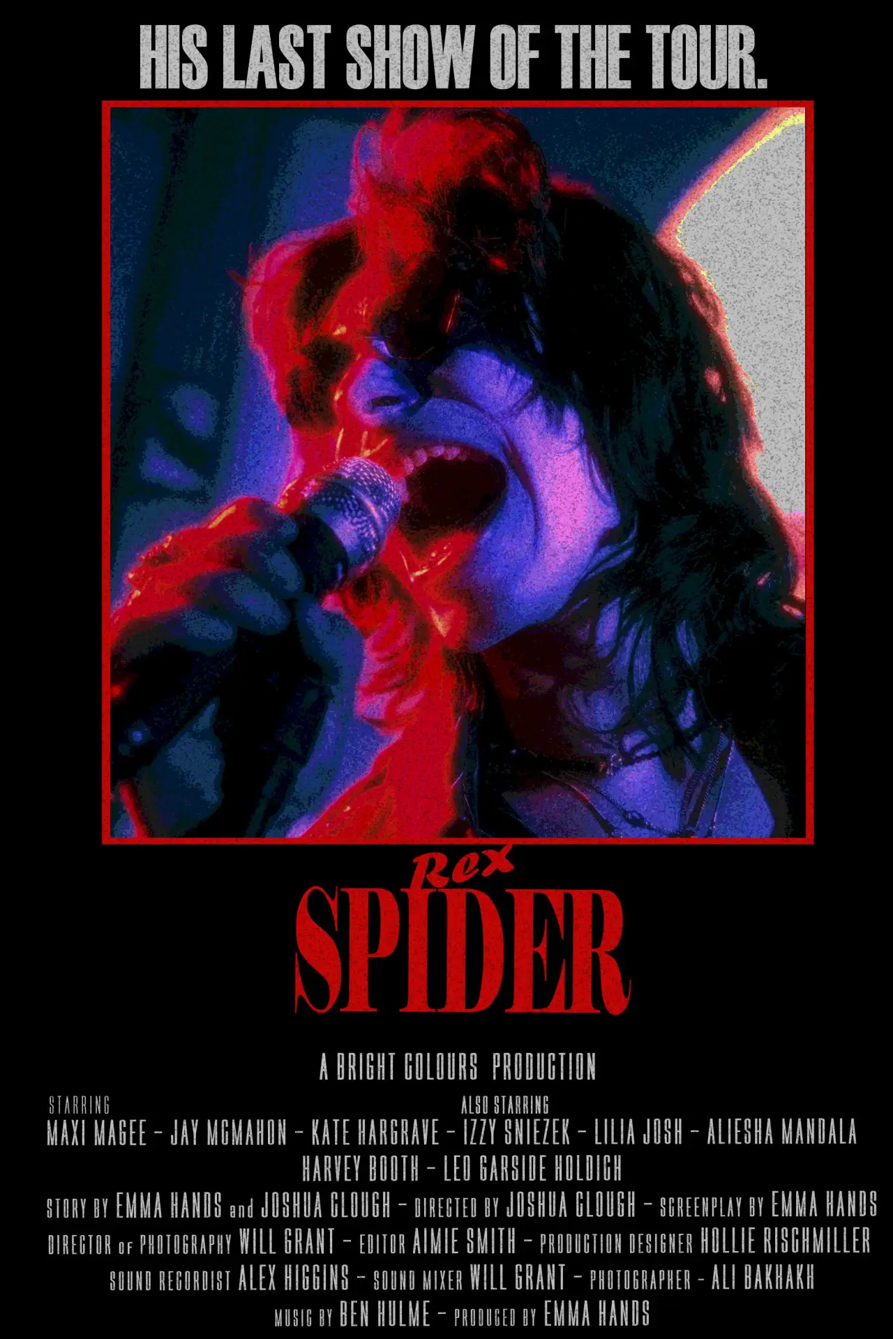 Постер до фільму "REX SPIDER"