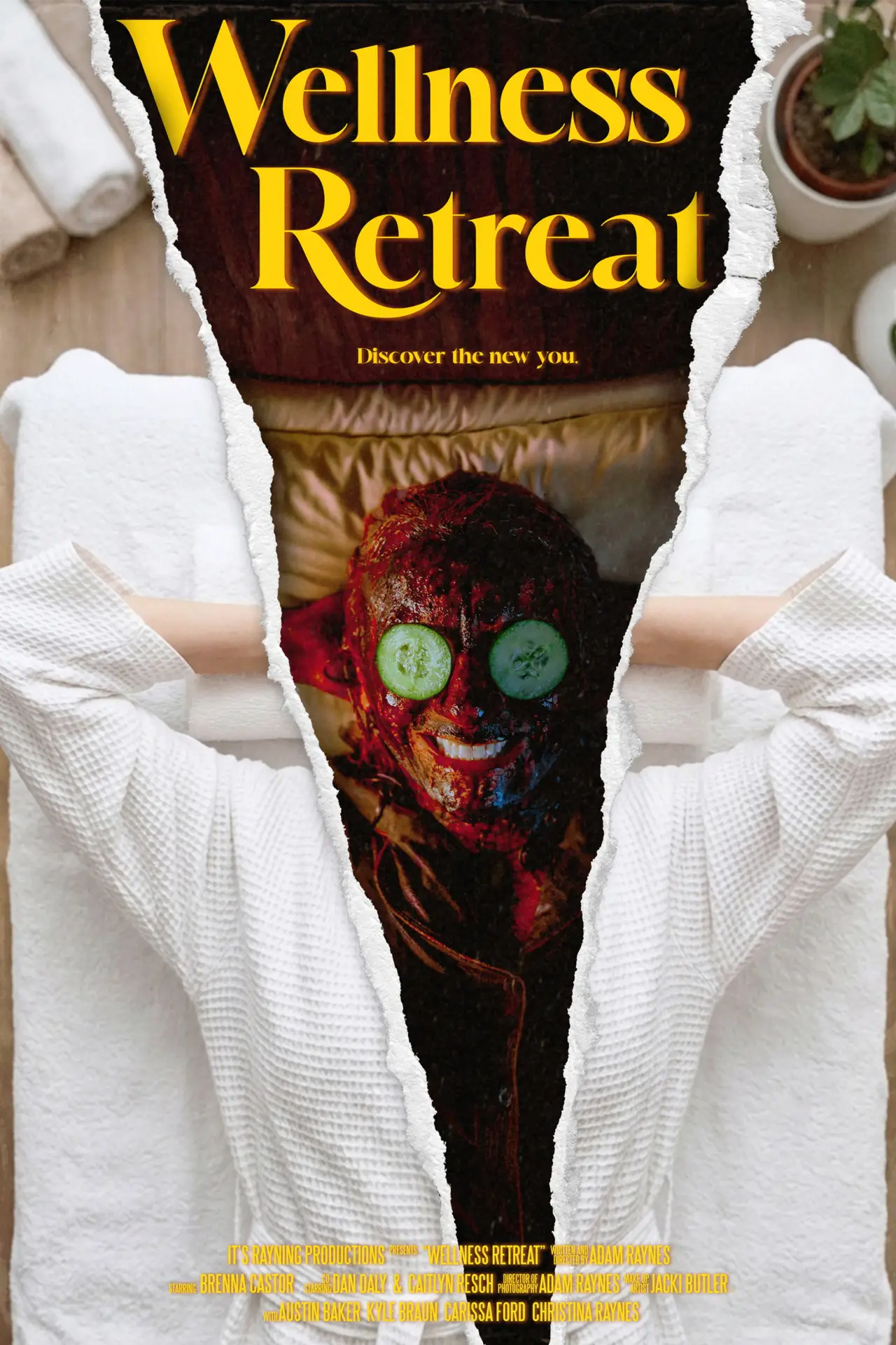 Постер до фільму "Wellness Retreat"