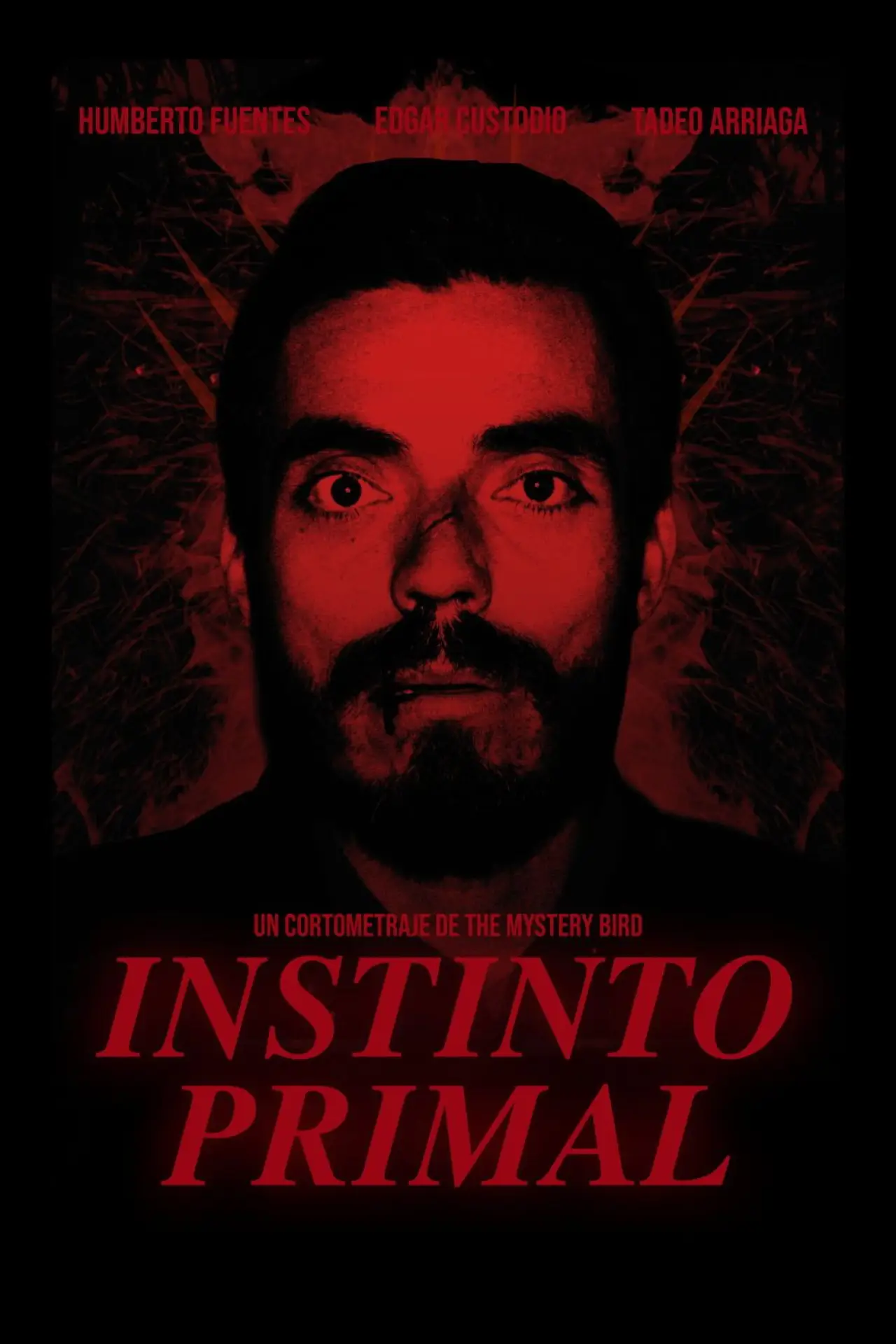 Постер до фільму "Instinto Primal"