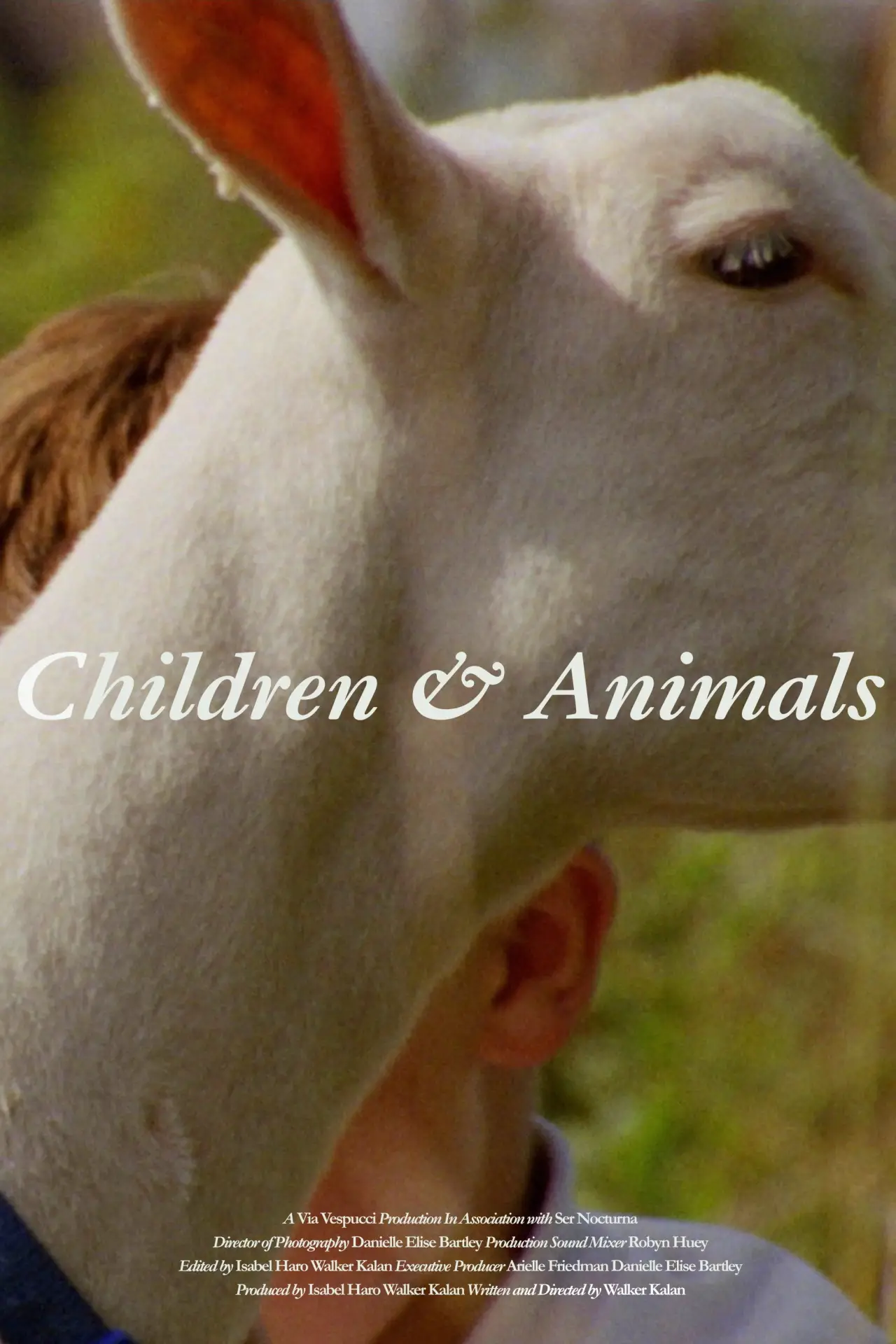 Постер до фільму "Children & Animals"