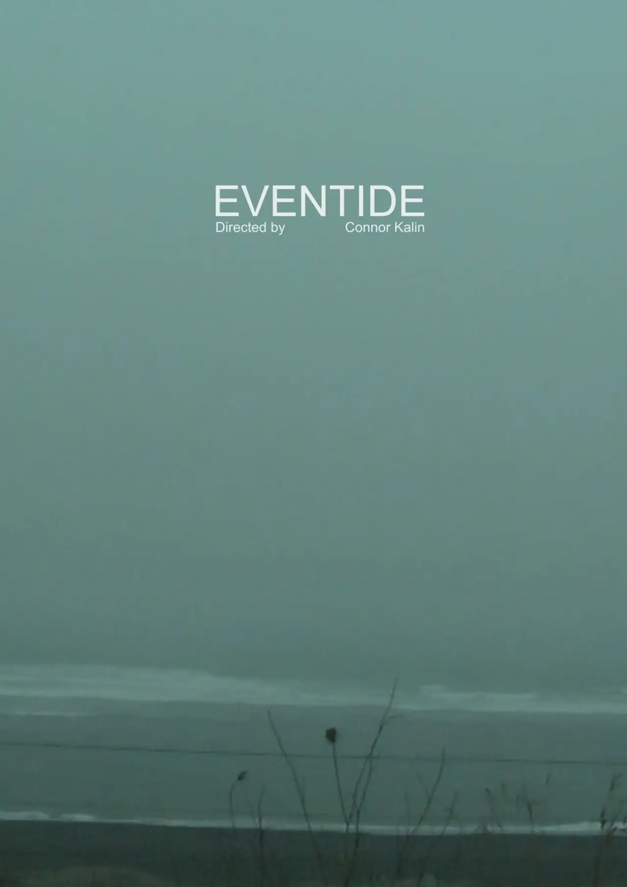 Постер до фільму "Eventide"