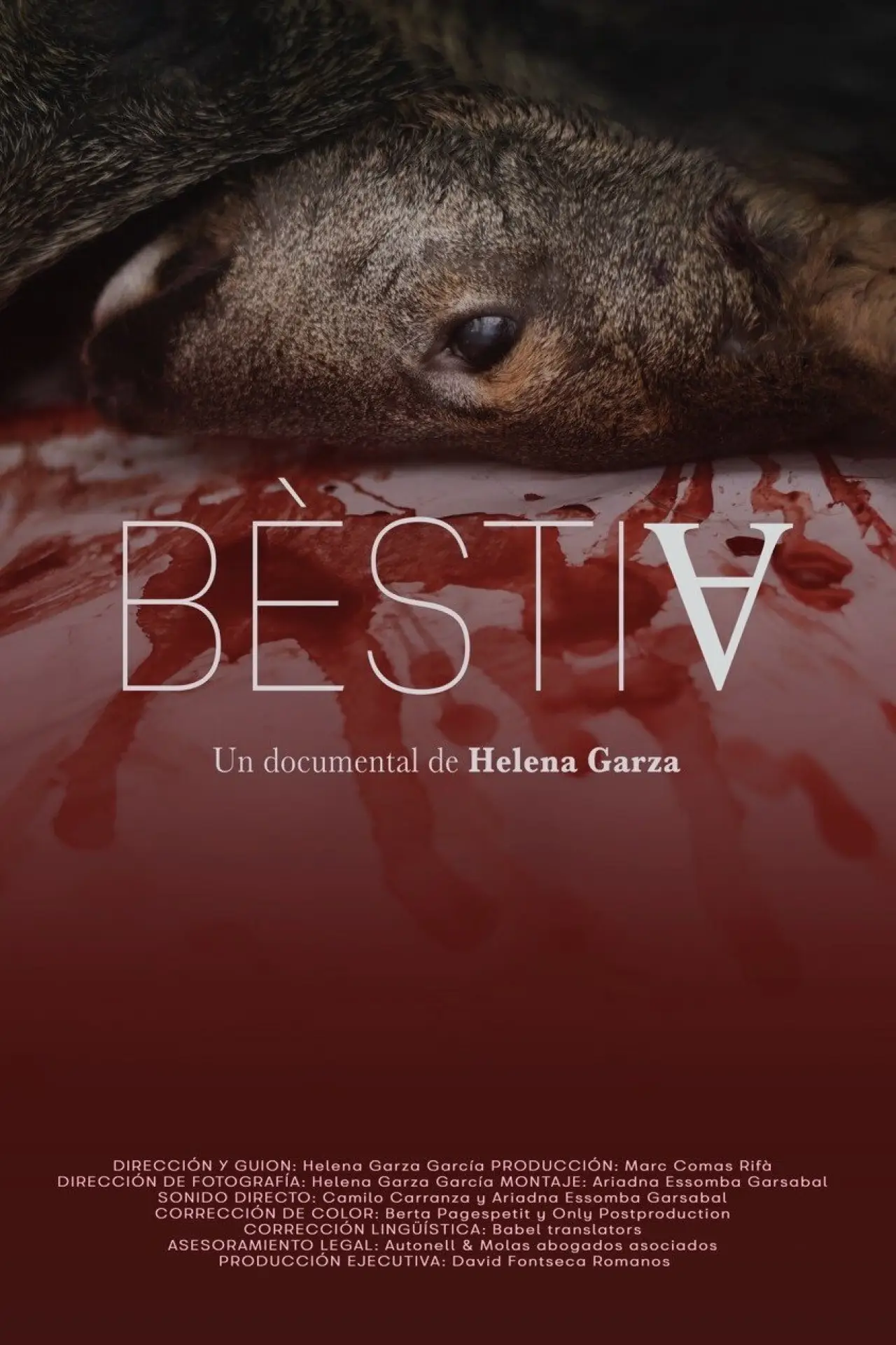Постер до фільму "Bèstia"