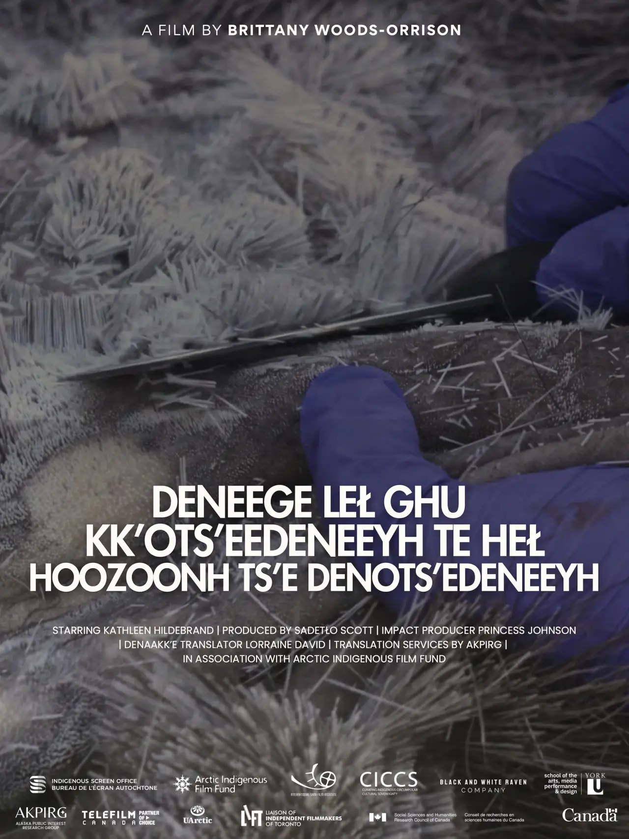Постер до фільму "Deneege Leł Ghu Kk’ots’eedeneeyh Te Heł Hoozoonh Ts’e Denots’edeneeyh"