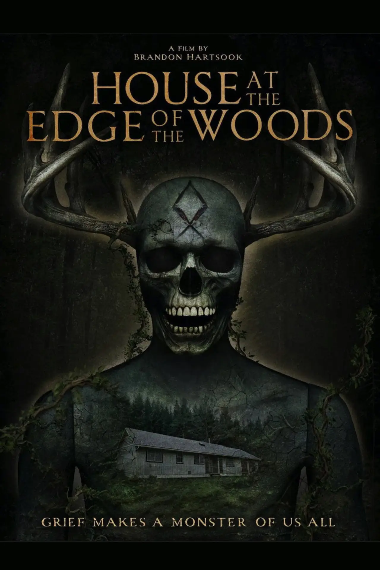 Постер до фільму "House at the Edge of the Woods"