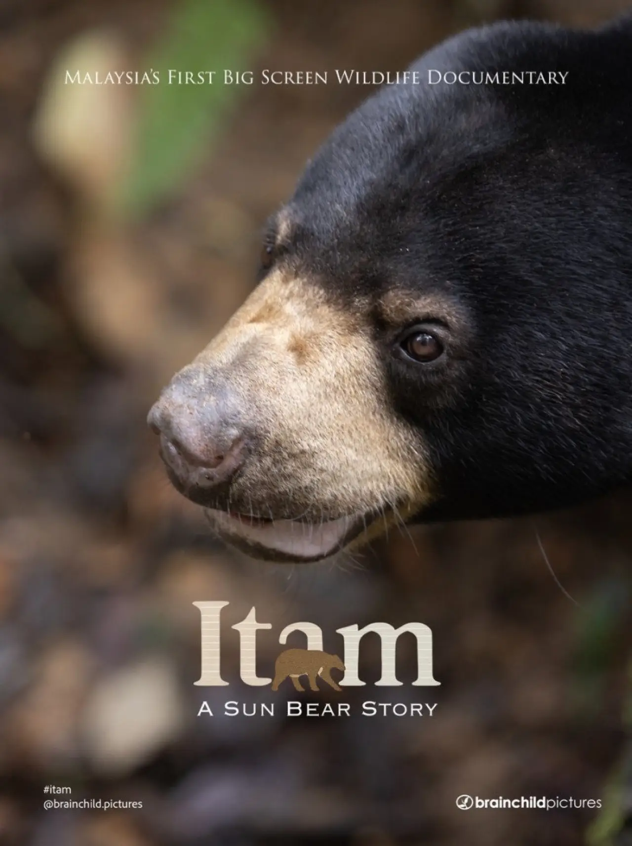 Постер до фільму "Itam: A Sun Bear Story"